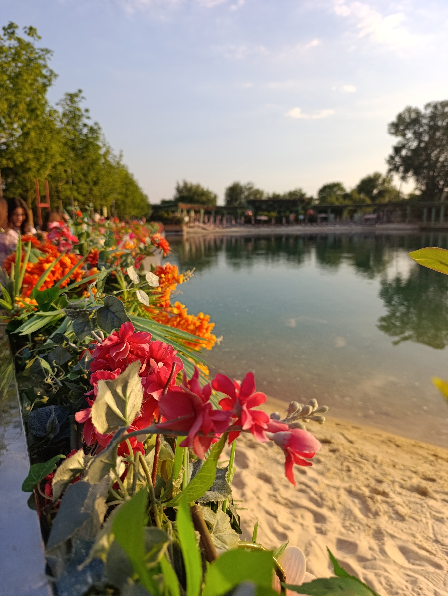 The image depicts an outdoor scene captured during late afternoon or early evening, indicated by the warm, golden light. No specific location in the city of Unknown, Unknown, can be identified from the visual information.
In the immediate foreground, a dense arrangement of primarily artificial flowers and foliage occupies the bottom left and central portions of the frame. Dominant colors are vibrant red and pink blooms, accompanied by clusters of orange and yellow flowers, interspersed with dark green leaves. The leaves exhibit some textural characteristics consistent with fabric or plastic.
To the right of the flowers, a sandy or dirt bank slopes gently down towards a body of still water, likely a pond or calm lake. The sand is light brown with visible undulations and impressions, suggesting footprints. The water itself is a calm, light blue-green, reflecting the sky and background elements clearly.
On the far bank of the water, a series of dark, rectangular structures, possibly pergolas or covered walkways, are visible, running horizontally across the mid-ground. Behind these structures and extending along the horizon are numerous green trees. A distinct, large tree silhouette is reflected on the water's surface on the far right.
On the left side of the image, behind the foreground flowers, several individuals are partially visible and out of focus. One woman with dark, long hair and a discernible smile is most prominent among them. A row of green trees lines the background on this side. The sky above is a clear, light blue with scattered, thin white clouds. The perspective is low-angle, looking across the flowers towards the water and background elements.