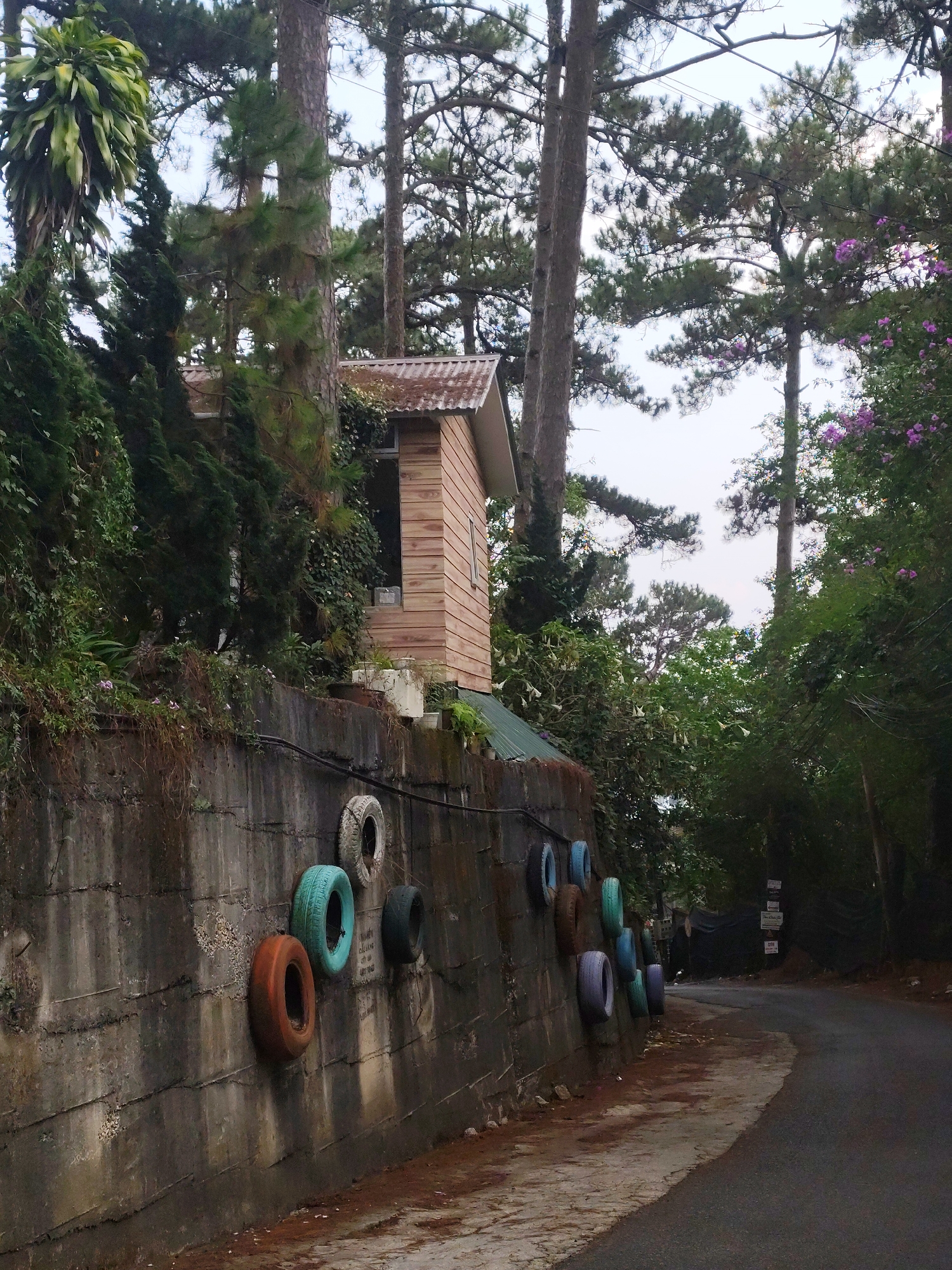The scene is a street in Da Lat, Vietnam. A concrete wall runs along the roadside, adorned with colorful, painted car tires. Above the wall, a small, wooden building nestles amongst pine trees and lush vegetation. The road curves gently to the right, disappearing into a shadowy area lined with more trees and foliage. A series of signs are posted in the distance. The sky is overcast.