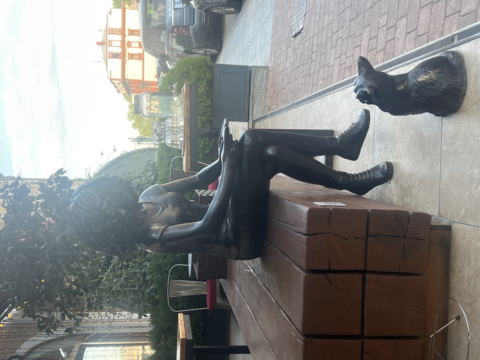 The media file is an outdoor, eye-level, full shot of a dark bronze statue of a woman sitting on a wooden bench, holding a phone and looking at it. The statue is dressed in black clothing, including boots. To the right of the statue, a dark bronze cat statue is perched on the wall. The scene is set on a paved walkway with a brick pattern. In the background, there are buildings, a car, and lush green foliage. The lighting suggests it is daytime, with a bright sky and shadows cast by the subjects. The statue appears to be a public art installation. There is no visible text in the image.