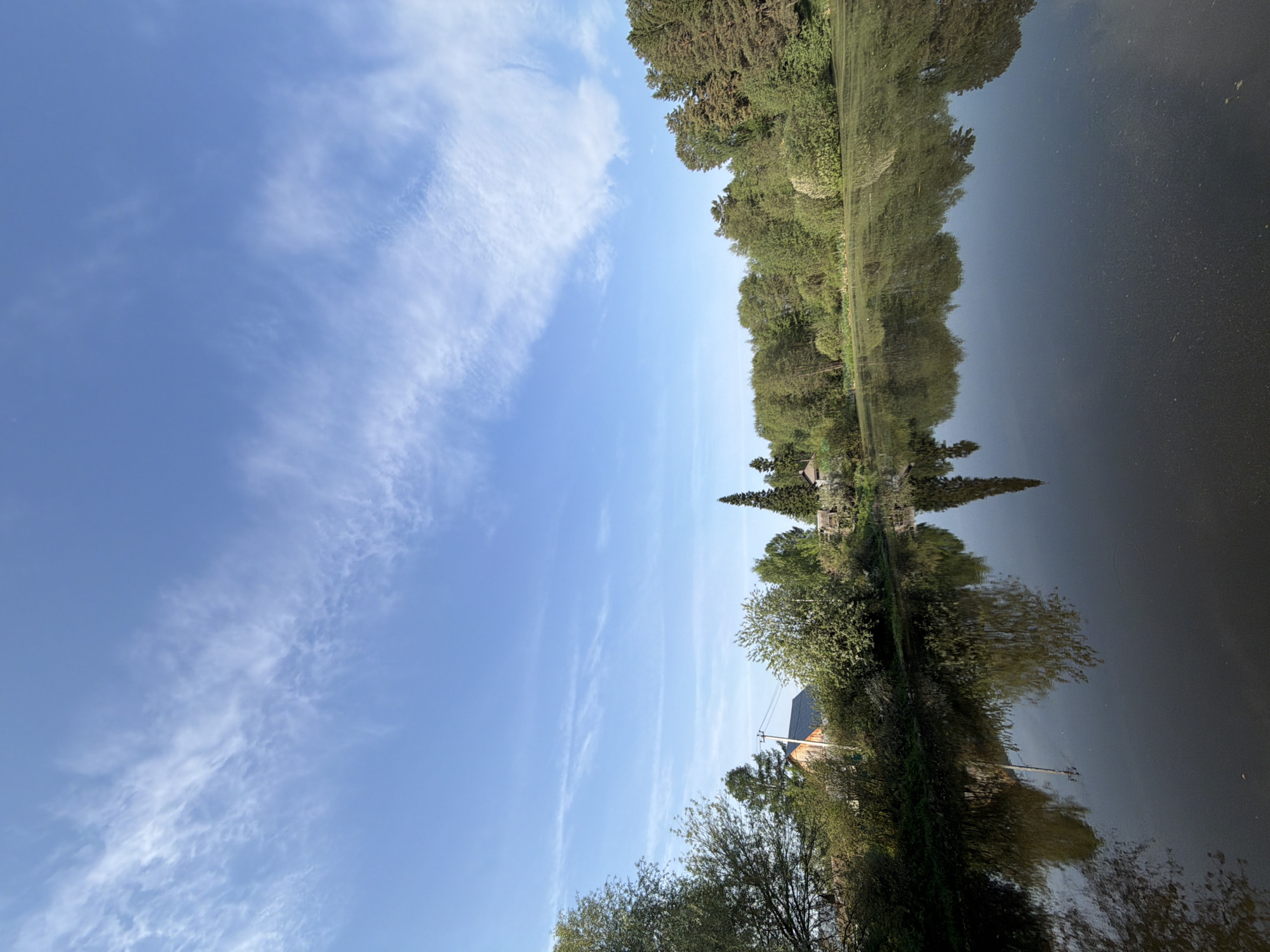 The image depicts a landscape in Chaikovsky, Russia. The sky, predominantly blue, is adorned with wispy cirrus clouds. Adjacent to the sky is a body of water reflecting a treeline. The treeline consists of a variety of deciduous and coniferous trees, some of which appear to be reflecting the sunlight. The water is dark, suggesting it could be deep or shadowed. A building is visible in the trees and its reflection is visible on the water. A power pole can also be seen next to the building.