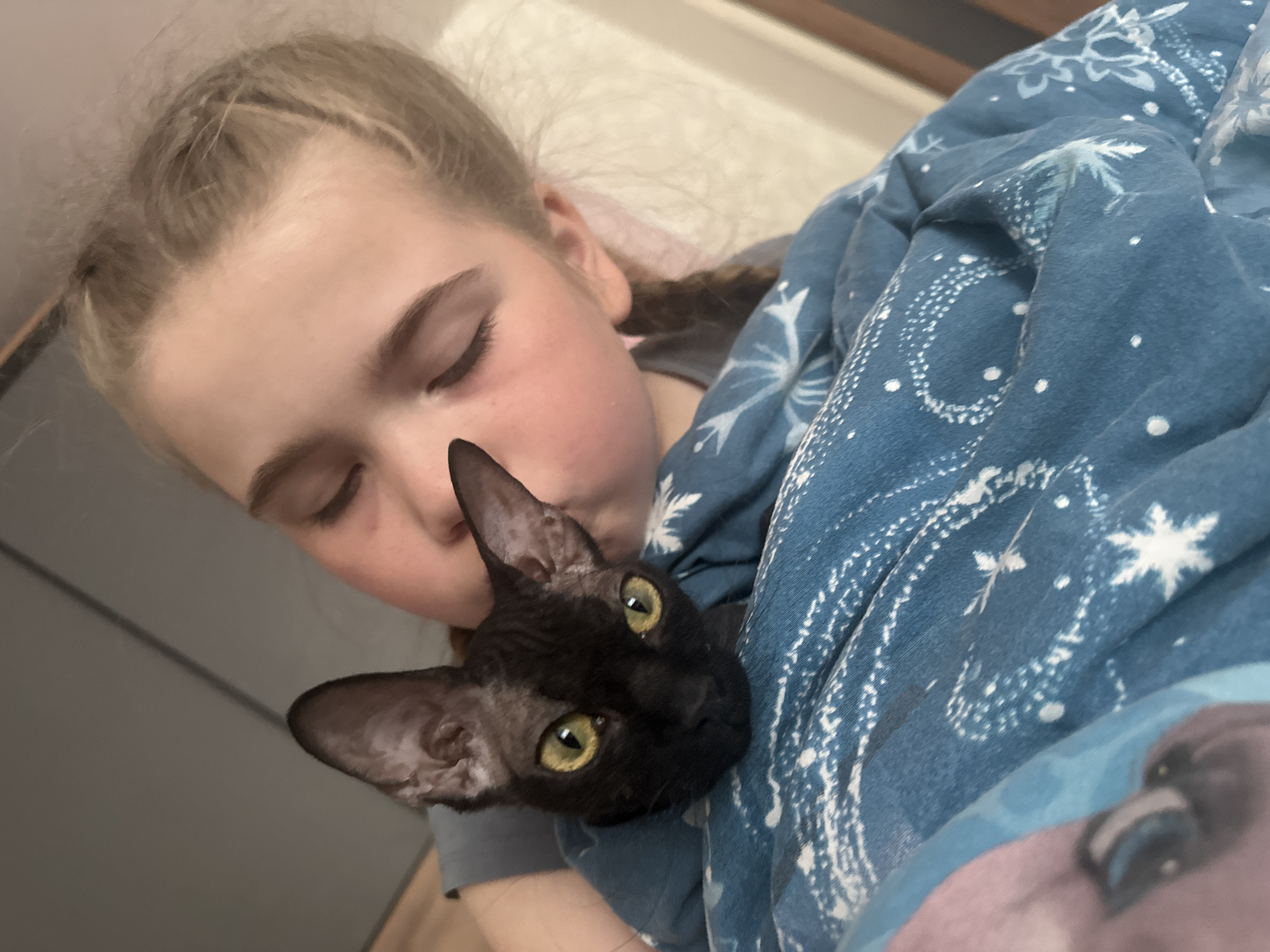 The image shows a close-up of a young girl with blonde hair in braids, her eyes closed, as she gently kisses a black cat with large, yellow eyes. The cat is peeking out from under a blue blanket adorned with white snowflakes and star-like patterns. The girl is wearing a grey t-shirt. The background is blurred, but appears to be indoors with a muted color palette. There is no indication of the city of Chaikovsky, Russia in the image.