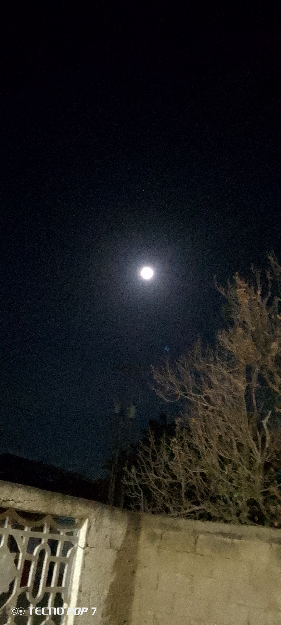 This nighttime image features a bright, prominent moon centered in a dark, clear sky. In the foreground, on the right, are the intricate, bare branches of a tree, likely deciduous, silhouetted against the sky. The lower left of the frame shows a light-colored concrete or cinder block wall, exhibiting visible cracks, particularly near the top edge. Above this wall, a section of a building with a white, decorative metal grate is partially visible. Faint utility structures or lines can be discerned between the moon and the tree. A small, distant star or artifact appears slightly above the moon, and a blue lens flare is visible below the moon towards the tree. The scene conveys a quiet, clear night in a residential or semi-urban area. The text "OO TECNO POP 7" is stamped in the bottom left corner of the image. The setting is Altagracia, Venezuela.