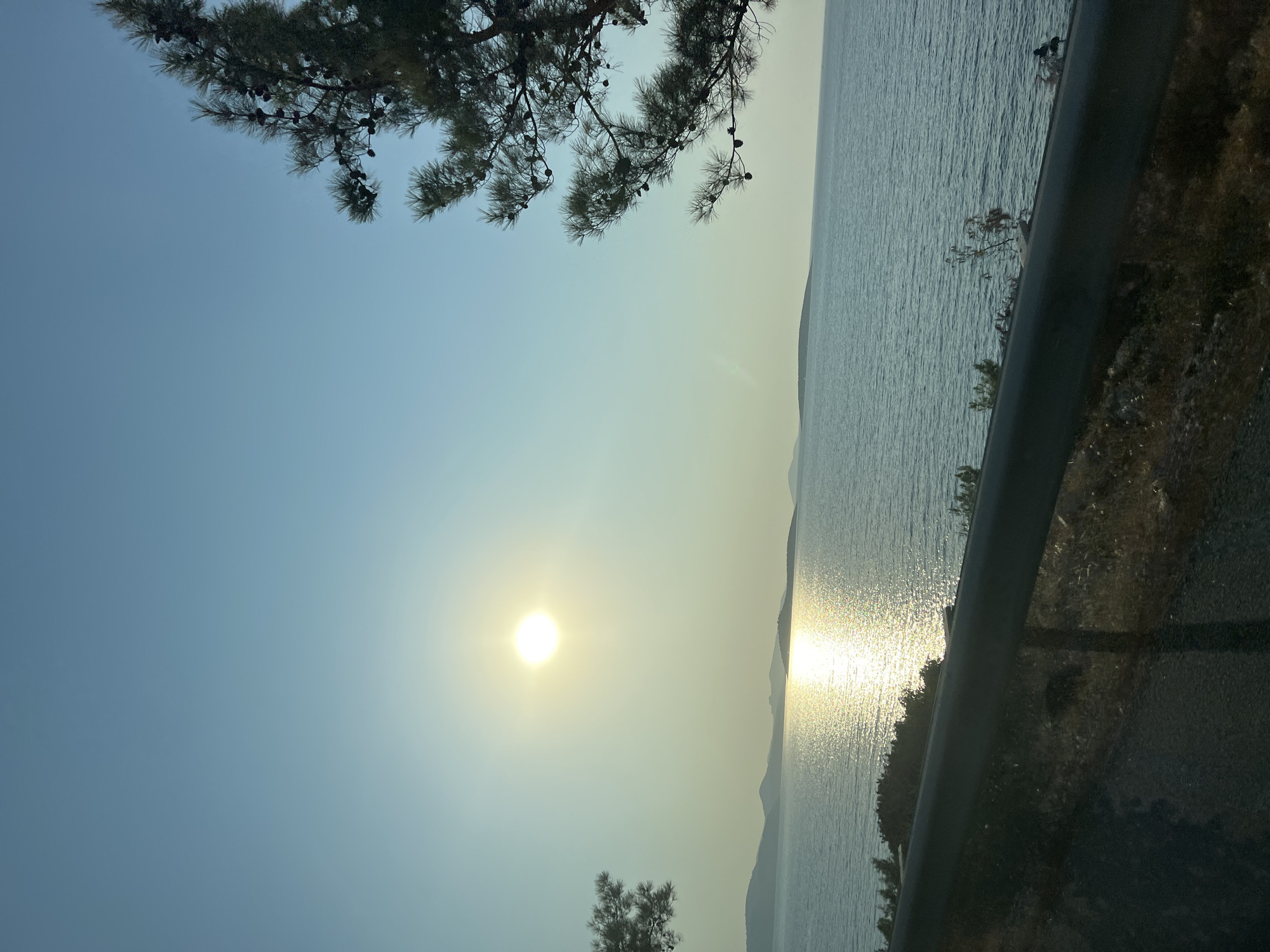 This image shows a serene coastal landscape. The sun is setting over a calm sea, casting a shimmering reflection on the water. Several islands are visible in the distance. A pine tree branch with cones hangs into the frame from the right side, its needles silhouetted against the pale blue sky. In the foreground, a dark metal railing runs along the edge of what appears to be a road or overlook, with dry grass and scrub vegetation growing beneath it. The overall atmosphere is peaceful and tranquil.