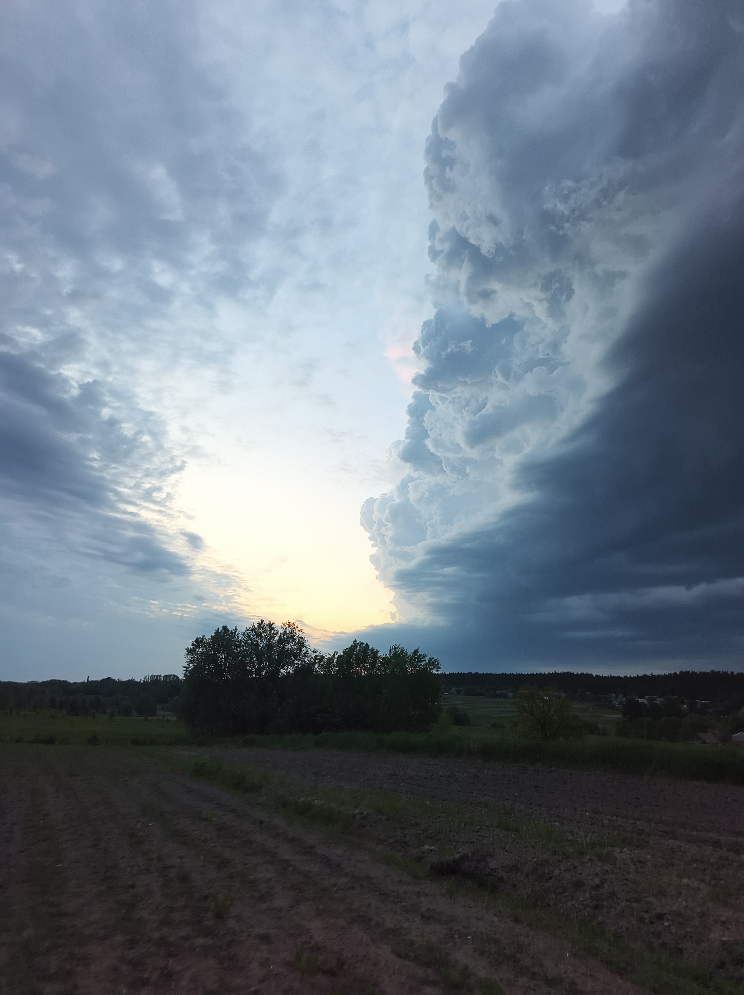 The image shows a field in Vyshevychi, Ukraine, under a dramatic sky. The foreground is dominated by a freshly plowed field with parallel rows of soil. Behind the field is a line of trees, mostly dark in silhouette against the bright sky. In the distance, a slightly elevated landscape features more trees and a few visible buildings, possibly houses. The sky is the most prominent feature, split between a bright, almost golden area towards the center and a massive, dark storm cloud on the right. The clouds on the left are gray and layered. The overall impression is of a landscape at the edge of a storm. No people are visible in the image.