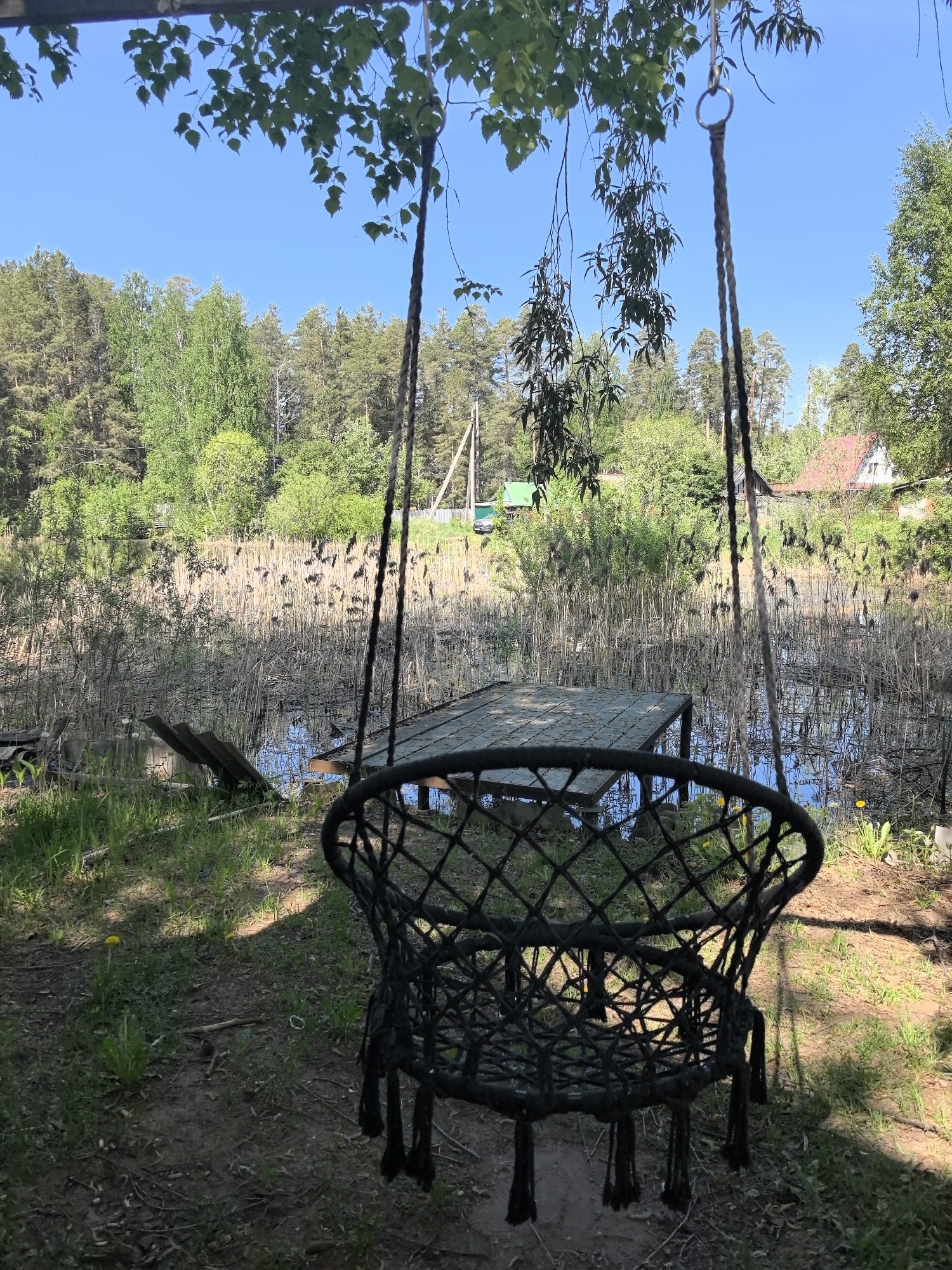 The image shows a black macrame swing chair hanging from a tree branch. Behind the swing chair, there is a body of water with tall reeds and a small wooden deck. In the background, there is a forest and a few houses. The location is in Noviy, Russia. The environment is natural and somewhat overgrown. There are no people visible. The swing chair is the primary object in the foreground.