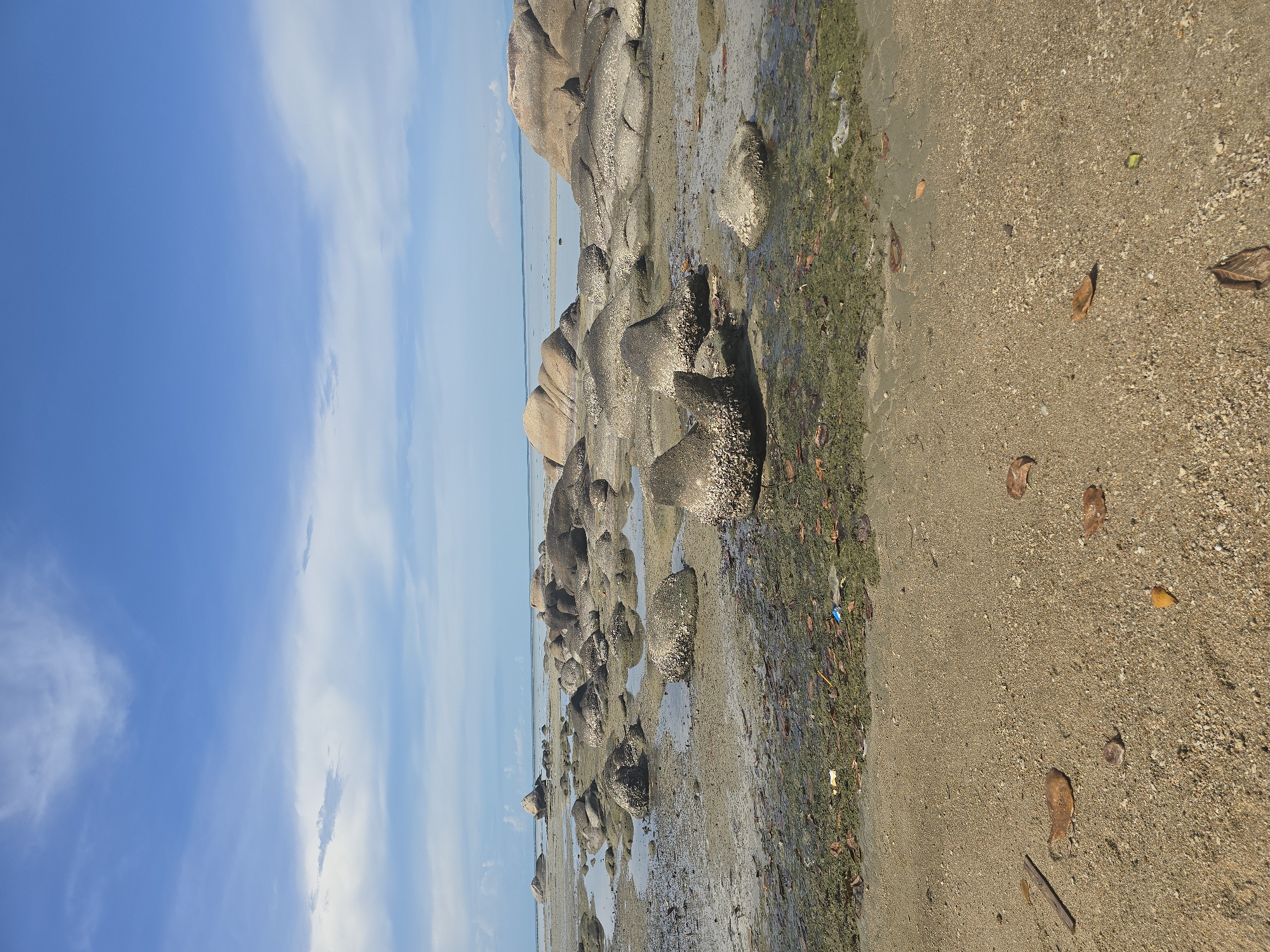 The image depicts a rocky beach scene at low tide. The foreground is a sandy beach with scattered dry leaves and small pebbles. Moving towards the background, the sand gives way to a muddy, rocky area with pools of water. Numerous large, rounded rocks, some encrusted with barnacles or other marine growth, are scattered across this area. Beyond the rocks, the water is shallow and calm, extending to the horizon where it meets a pale blue sky with scattered white clouds. The overall environment suggests a tropical coastal landscape. The location provided, Baan Chaweng Noi, Thailand, is consistent with such a scene. There are no people or visible human activity in the image.