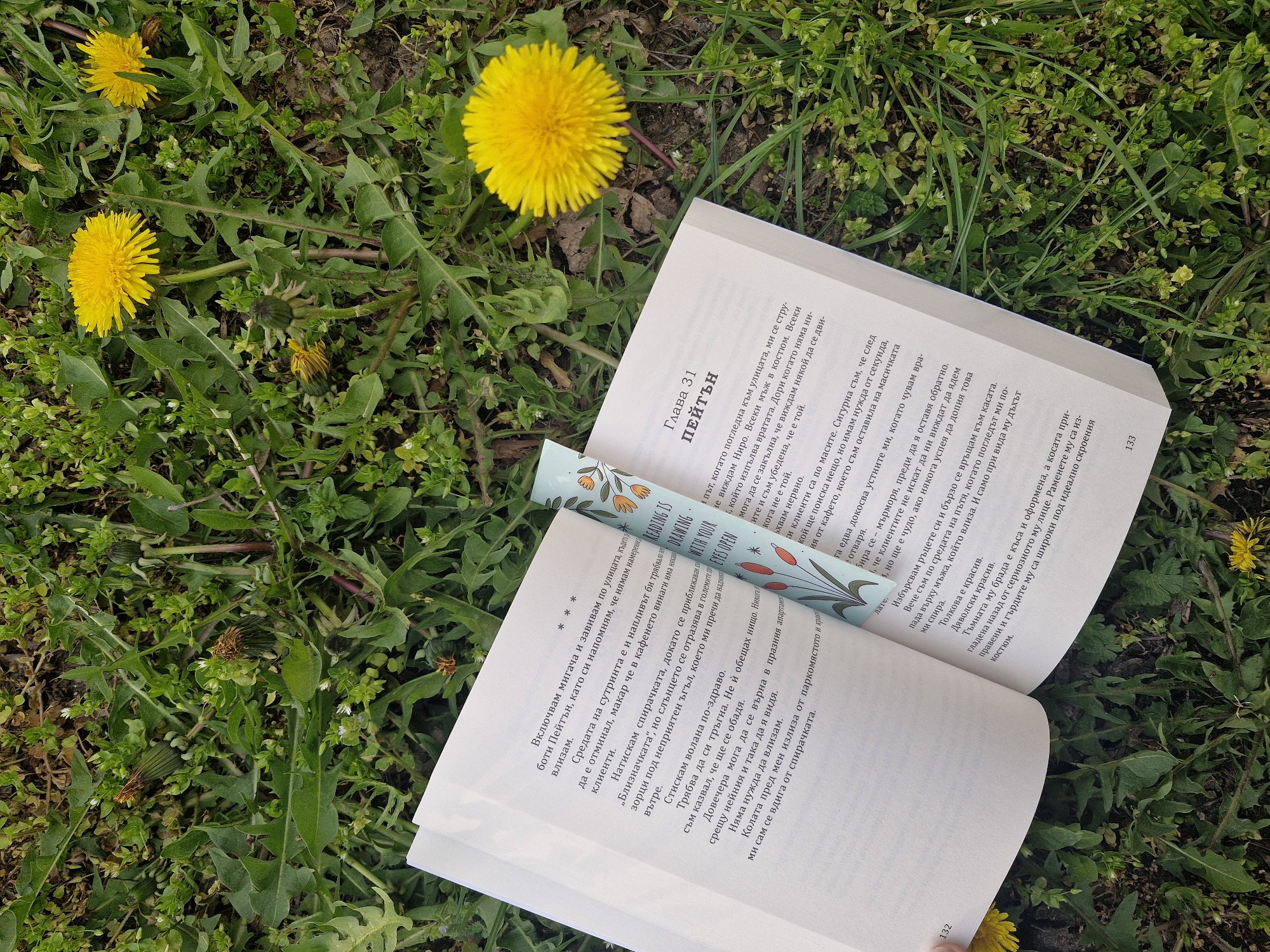 **Scene Description:**
The scene depicts an open book resting on a patch of green grass interspersed with yellow dandelions. The open book is laid flat, with pages facing up and a bookmark inserted between them. The book appears to be written in Bulgarian, and the bookmark features a floral design. The pages are slightly yellowed, suggesting the book is not new. The dandelion flowers are bright yellow, and their stems are visible amidst the grass.
**Location:**
Given the book is written in Bulgarian, and there is no further information, it is not possible to determine where in Sofia, Bulgaria this photo was taken, other than it is located outdoors.