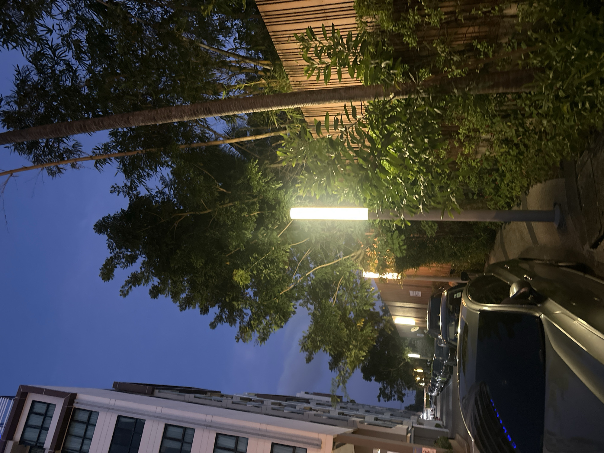In Wichit, Thailand, an evening scene unfolds along a street lined with buildings and lush vegetation. The sky is a deep blue, transitioning from twilight to night. On the left, a modern, multi-story building with numerous windows stands tall. Adjacent to it, a sidewalk and street are visible, with several cars parked along the right side.
The street is illuminated by vertical, cylindrical lamps emitting a bright, white light. These lamps cast a glow on the surrounding greenery, which includes trees with dense foliage and slender palm trees. A light brown, vertical slatted fence runs along the right side of the street, separating it from more dense foliage and trees behind. The overall atmosphere is peaceful and well-lit, suggesting a residential or commercial area transitioning into evening.