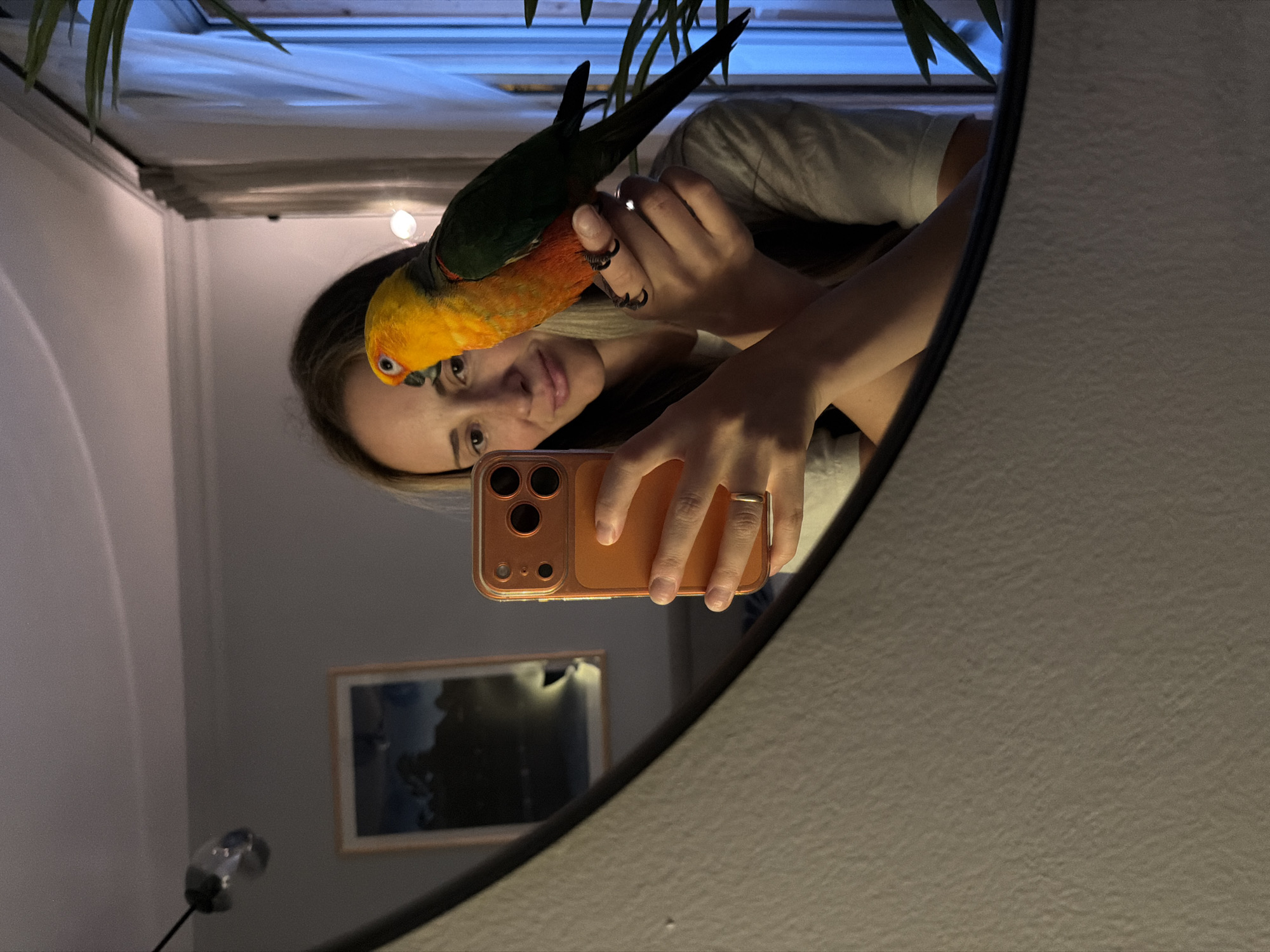 A woman is taking a mirror selfie with her pet parrot perched on her hand. The parrot is predominantly green with an orange and yellow head. The woman has long blonde hair and is wearing a light-colored t-shirt. She is holding an orange smartphone with a triple camera setup. A ring is visible on her left hand. The setting appears to be indoors, with a framed picture hanging on a grey wall in the background. A plant is visible in the upper left corner, and the light suggests it might be daytime. The overall mood is casual and affectionate, highlighting the bond between the woman and her pet.