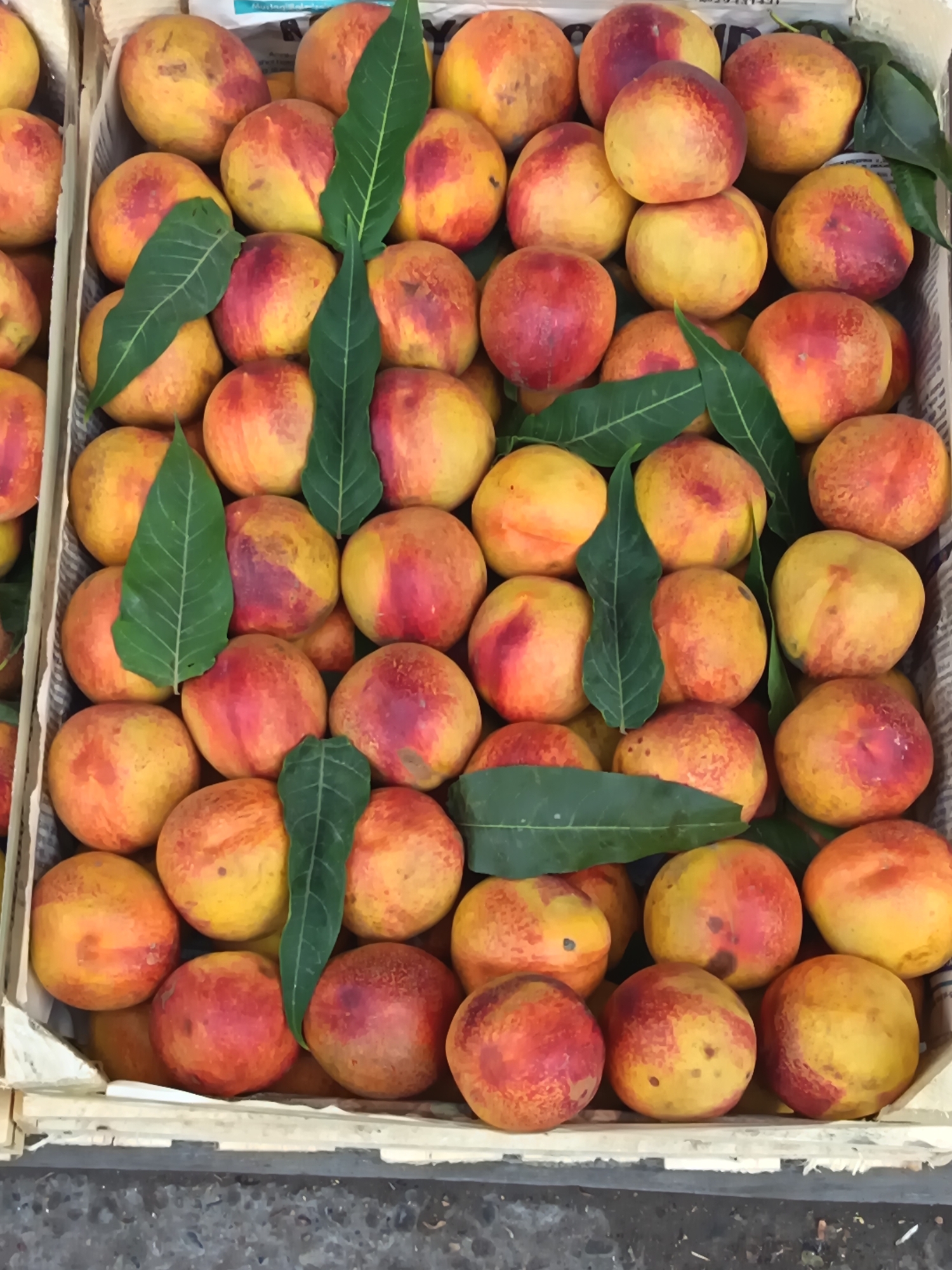 This is a top-down, medium shot of a wooden crate filled with ripe peaches. The peaches are a vibrant mix of yellow and red, with some showing slight bruising. Green leaves are interspersed among the fruit, adding a natural touch. The crate appears to be placed on a rough, grey surface, possibly a street or market stall, in Shahrixon, Uzbekistan. The lighting is natural and the focus is sharp on the peaches, creating a detailed and appetizing image of fresh produce.