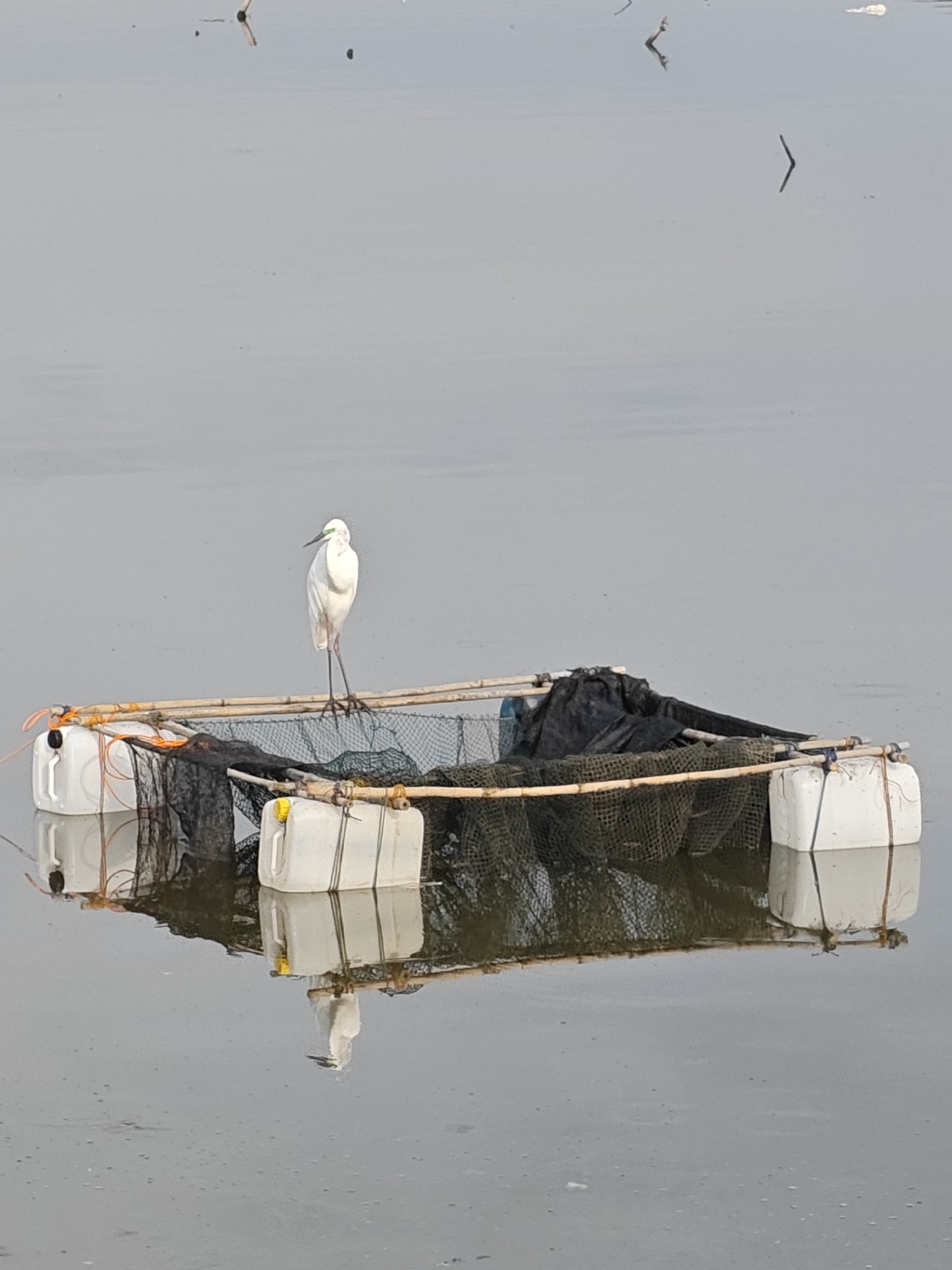A white egret stands on a makeshift raft in the water. The raft is constructed from white plastic containers, bamboo poles, and netting. The raft's reflection is visible in the calm water. The water has a grey, slightly rippled surface. Debris is scattered on the water's surface in the background. The photograph was taken in Lhokseumawe, Indonesia.