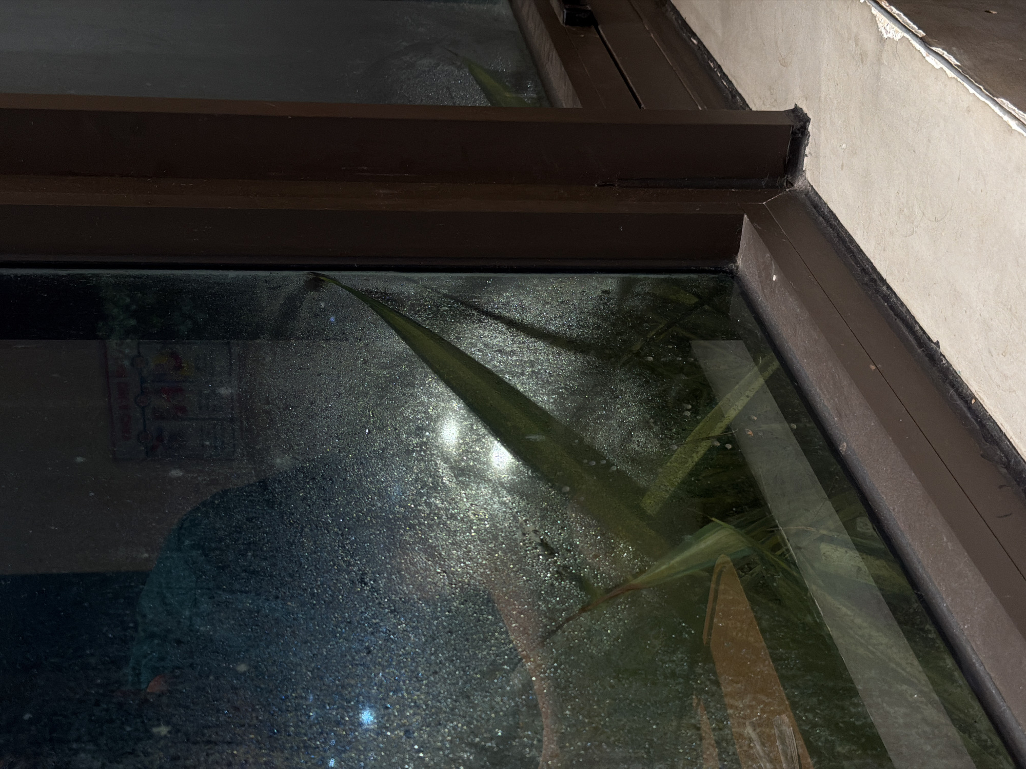 A close-up, low-angle exterior shot shows a condensation-covered glass window frame, part of a building in Da Nang, Vietnam. The dark brown frame, likely metal, appears weathered. Inside the building, an out-of-focus green upholstered chair is visible through the foggy glass. A tall, narrow green plant with long, pointed leaves is positioned directly in front of the glass, with its leaves extending upwards and to the left. Outside, the concrete windowsill is slightly chipped and stained. The lighting suggests it is either nighttime or a very overcast day, with some diffused artificial light sources creating a hazy glow.