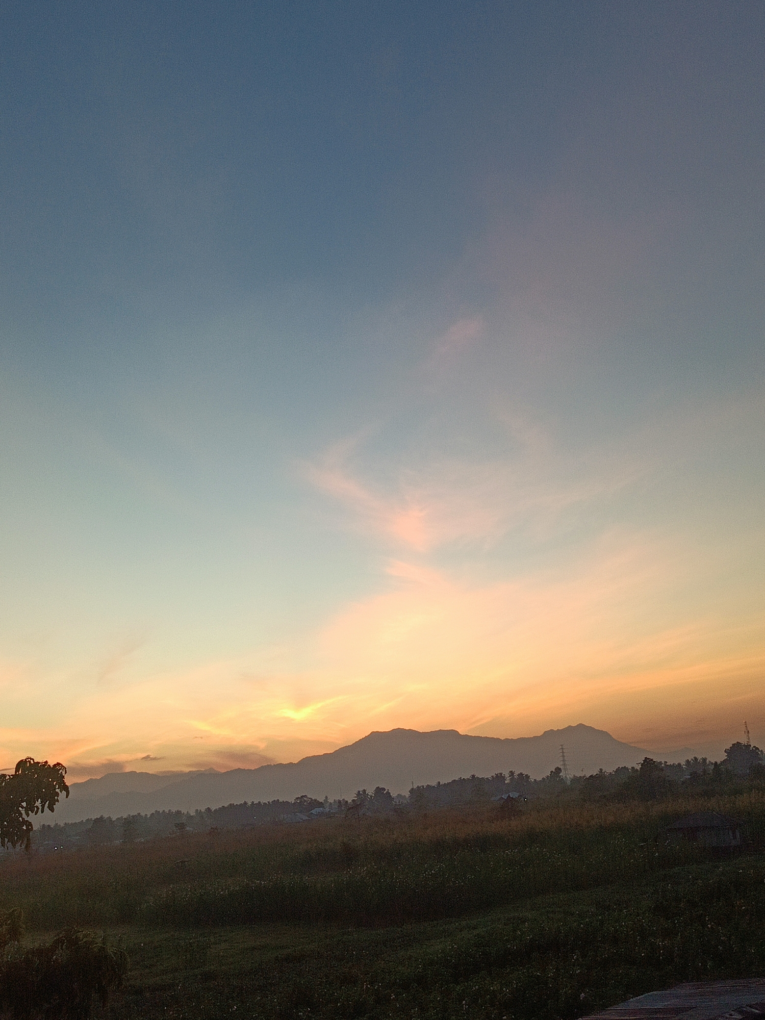 This is a wide-angle, eye-level photograph of a landscape at dusk in Gorontalo, Indonesia. The sky is a gradient of deep blue at the top, transitioning to soft pinks and oranges as it meets the horizon. Wispy clouds catch the last light of the setting sun.
In the middle ground, a silhouette of a mountain range stretches across the horizon. Below the mountains, a line of trees and some small buildings are visible, suggesting a rural or semi-rural settlement. The foreground is dominated by a field of dark green vegetation, possibly crops or tall grass. The light is dim, casting the lower portion of the scene in shadow, though some faint lights are discernible in the distance, possibly from the buildings. A dark tree is visible on the far left edge of the frame. No people or animals are visible. The overall mood is serene and quiet.