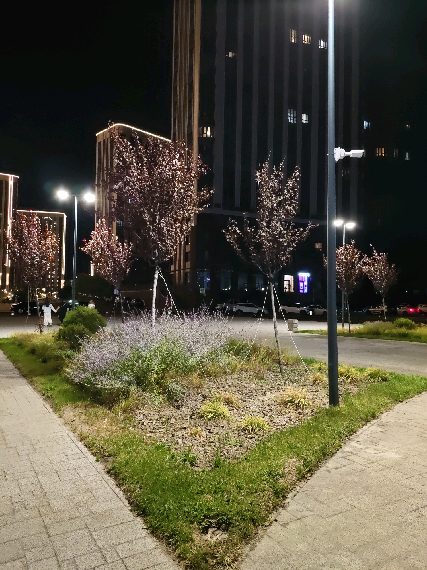 The image depicts a night scene in Rostov-on-Don, Russia, showcasing a modern urban landscape with residential buildings and meticulously landscaped public spaces. In the foreground, a paved walkway, likely made of concrete pavers, curves to the right, bordered by a strip of green grass. Beyond the grass, a raised garden bed features mulch, dry grasses, and several ornamental trees with dark foliage, their branches supported by visible guy wires. A large bush with delicate, light-colored foliage, possibly lavender, occupies a significant portion of the garden bed. A tall, dark lamppost stands in the middle ground, its light illuminating the surrounding area.
In the background, imposing, modern multi-story residential buildings dominate the skyline. These buildings are characterized by their dark facades and vertical window patterns. Some windows are illuminated, suggesting occupancy. Decorative lighting strips outline the edges of one of the buildings, adding a touch of flair to the architecture. A second, less prominent building with similar architectural features is visible to the left.
Further into the background, a paved road or driveway is visible, with several cars parked or driving. The environment suggests a well-maintained urban area, possibly a courtyard or a public square within a residential complex. The overall impression is one of contemporary urban living with a focus on aesthetics and green spaces, even at night. The presence of streetlights and illuminated building windows indicates ongoing activity and liveliness in the city.