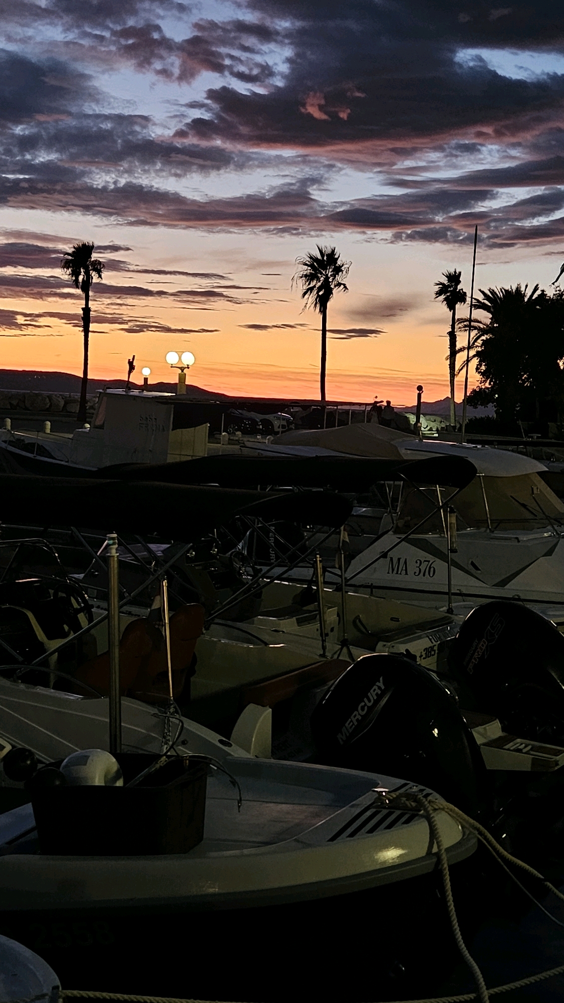 This is a photograph of a marina in Općina Tučepi, Croatia, at dusk. The sky is filled with dramatic clouds, colored with hues of orange, pink, and purple, a common sight during sunset on the Dalmatian coast. Silhouetted against the vibrant sky are several palm trees, characteristic of the Mediterranean landscape.
In the foreground, a collection of boats are moored. These appear to be small to medium-sized vessels, many with their canopies erected. Some of the outboard motors are visible, with the brand "Mercury" clearly legible on at least one. The boats are packed closely together, indicating a busy marina. In the middle ground, there's a walkway or promenade with lampposts, one of which is illuminated. Beyond the marina, hills form the distant horizon, partially obscured by the fading light. The overall atmosphere is serene, capturing the transition from day to night in a coastal town.