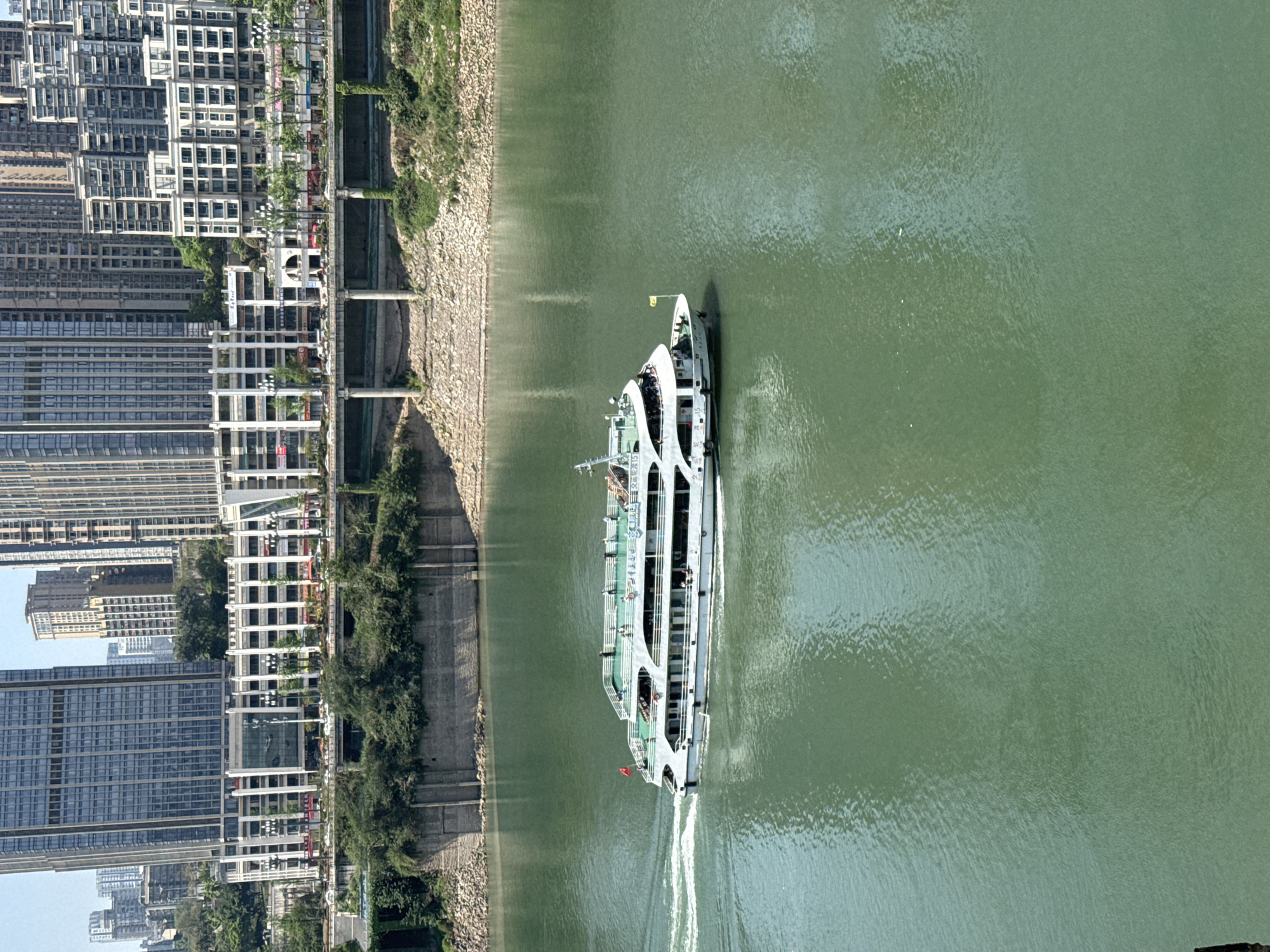 The image shows a body of water, likely a river, with a large passenger ferry traveling on it. The ferry is white with multiple decks and passengers visible on the upper levels. It is moving away from the viewer, leaving a wake in the water.
To the left of the river, there is a concrete retaining wall with some vegetation growing on it. Beyond the wall, there is a dense urban landscape composed of numerous tall buildings. The buildings are primarily residential and commercial structures.
The location is likely Yuzhong District, Chongqing, China, based on the architectural style of the buildings, the body of water, and the general urban environment.