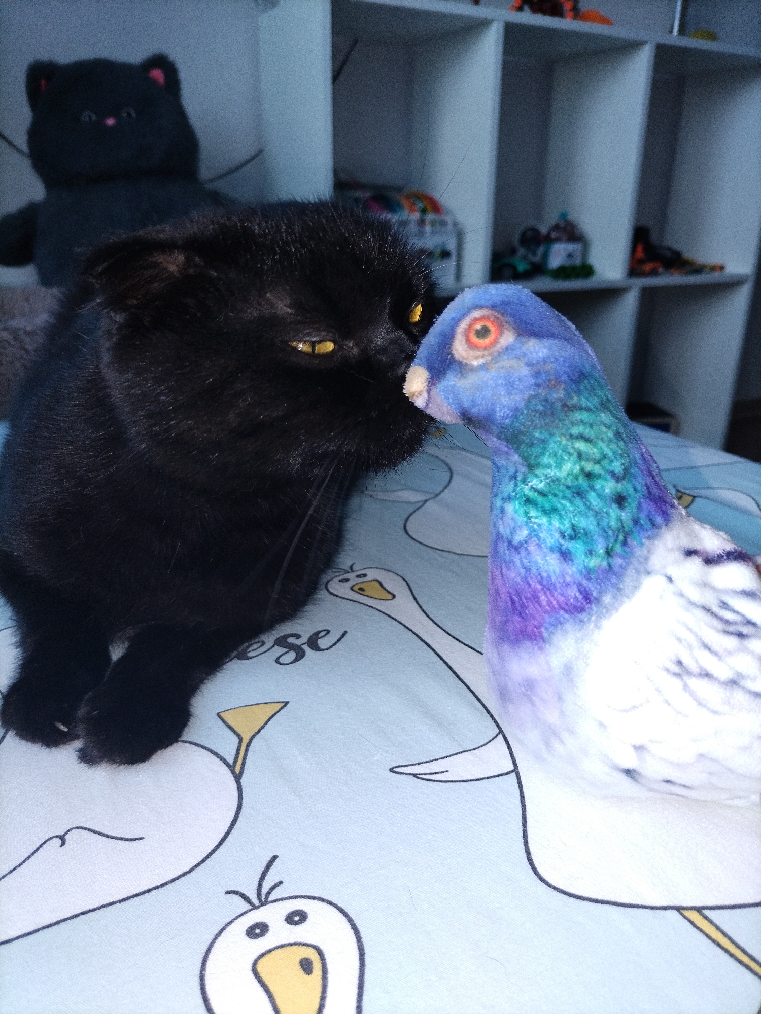 A black cat with yellow eyes is seen in close proximity to a stuffed pigeon with blue and purple plumage. The cat is positioned on the left side of the frame, facing the pigeon. The pigeon is on the right, its head turned towards the cat. They appear to be on a bed with a light blue cover featuring a pattern of white geese and the word "cheese" written in cursive. In the background, there are shelves filled with various objects, including a dark-colored stuffed bear and small toys. The lighting suggests an indoor environment.