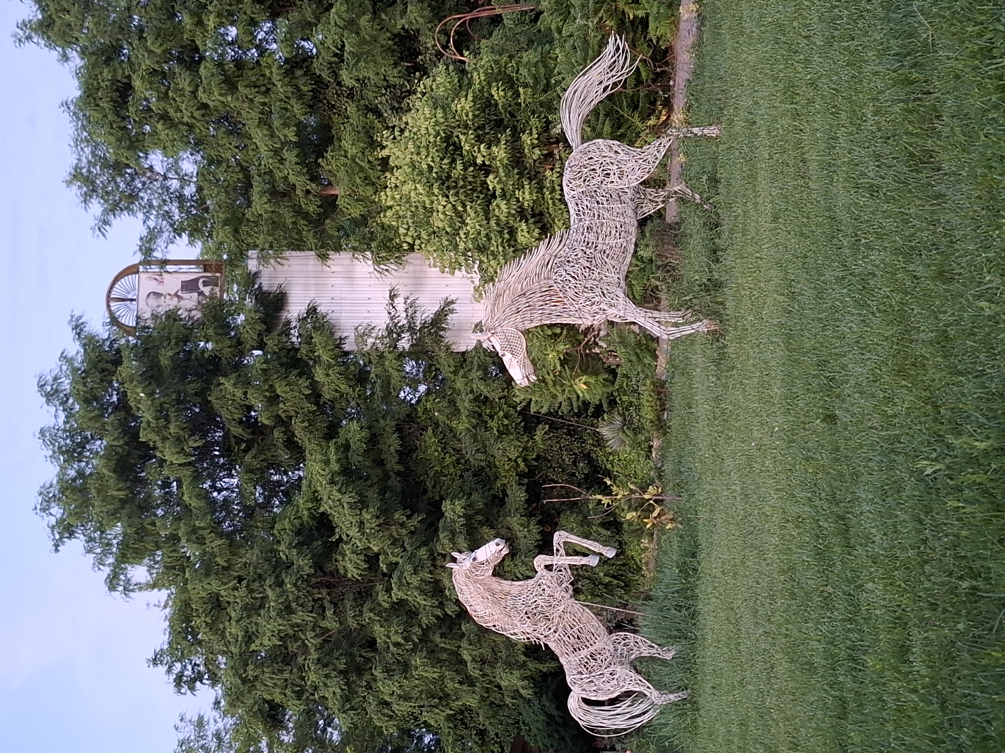 The image depicts a peaceful outdoor scene, likely in a garden or park setting. Two wire sculptures of horses are the primary subjects, positioned on a lush green lawn. The horses appear to be in mid-stride, suggesting a sense of movement and energy. The larger sculpture, in the background, is a striking, metallic representation of a galloping horse. In front of it, a smaller horse sculpture is depicted in a similar dynamic pose.
Behind the horses, a dense, verdant canopy of trees forms a natural backdrop, with hints of a white building structure peeking through the foliage. The building appears to have an arched window with a decorative element, adding a touch of architectural interest to the scene. The sky is a soft, pale blue, indicating it might be late afternoon or early evening. The overall atmosphere is serene and tranquil, with the natural greenery and the artistic sculptures creating a harmonious visual experience. There is no visible text in the image.