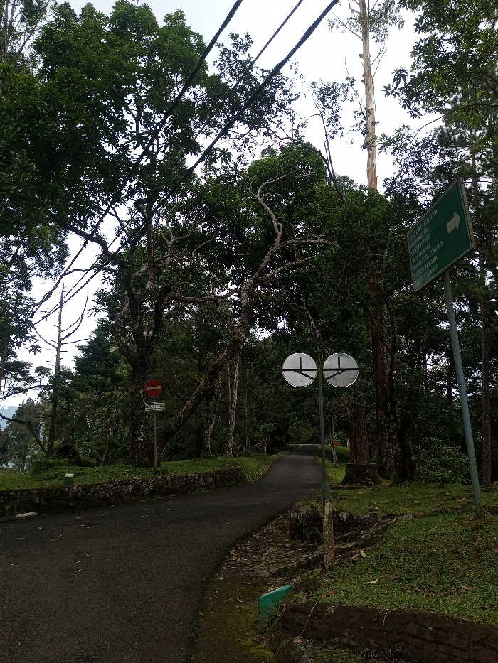 The image depicts a paved, dark asphalt road curving gently through a densely forested, natural environment under an overcast sky. The road is bordered by moss-covered stone retaining walls and grassy verges. Dense green foliage from numerous trees dominates the scene, with various species visible, including a tall, slender tree with light-colored bark extending high into the upper right background. Several black utility lines or cables cross the upper portion of the frame diagonally.
On the right side of the road, a green rectangular sign with white text and a right-pointing arrow is mounted on a pole. The text is in Indonesian and reads, "KOLAM RENANG" (swimming pool), "GEDUNG PLASA" (plaza building), "MASJID RAYA" (grand mosque), "AREA PARKIR" (parking area), and "OBYEK WISATA" (tourist attraction). The presence of Indonesian language on this directional sign is inconsistent with the requested location of Padegaon, India. Also on the right, two circular reflective signs, possibly the rear of regulatory markers, are mounted vertically on a pole closer to the foreground. On the left side of the road, partially obscured by tree branches, a red circular "No Entry" sign (red circle with a white horizontal bar) is visible. No people, animals, or vehicles are present in the scene.