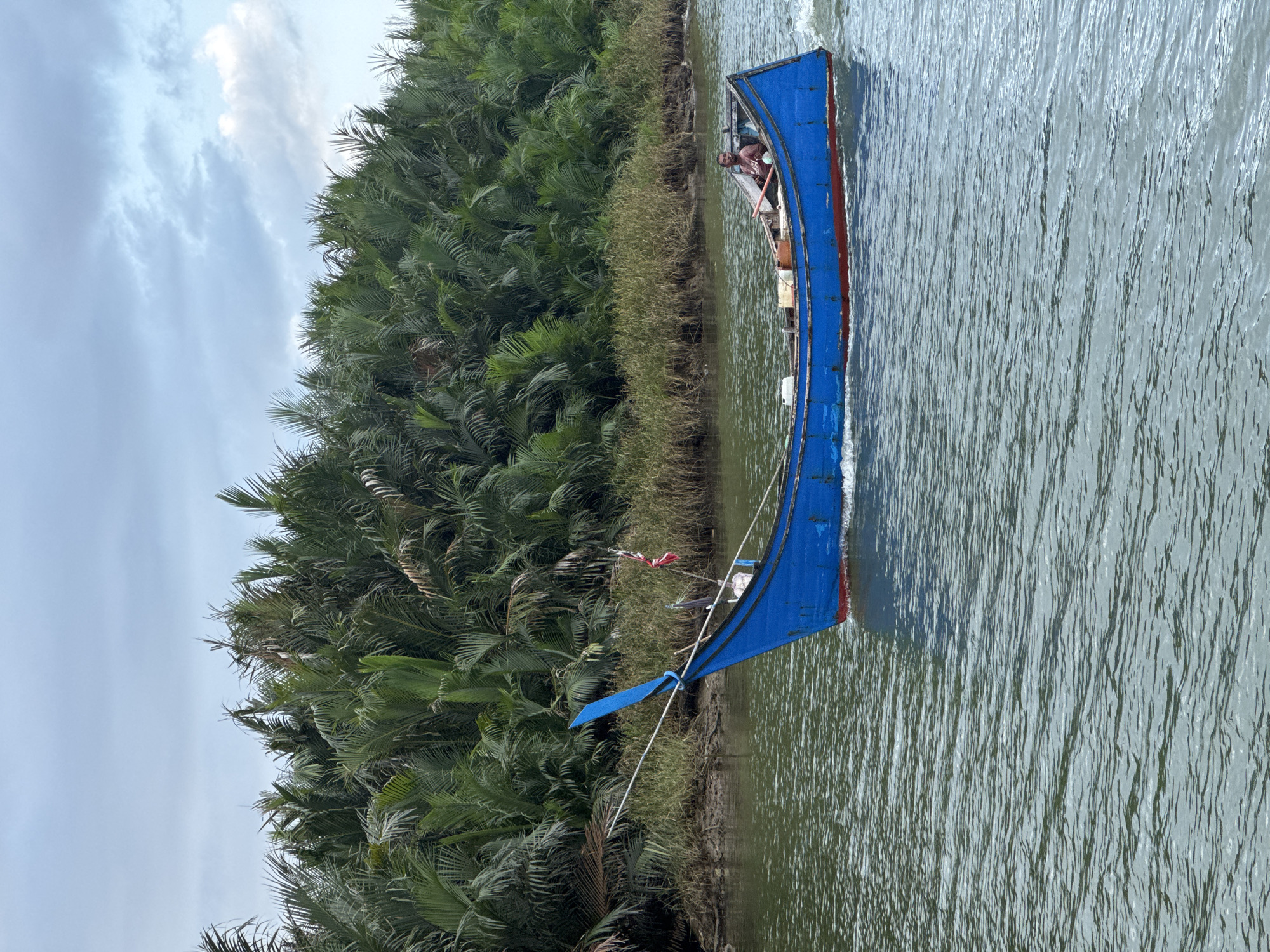 A man in a brown shirt is steering a bright blue, long, narrow boat down a river. The boat has a red stripe along its bottom edge and a pointed blue bow. In the boat with the man are some containers and equipment. The river is a murky green color and has small waves from the boat's movement. On the far bank of the river, a dense line of palm trees forms a natural wall. The sky above is overcast with patches of light blue. The scene appears to be in Reudeuep, Indonesia, a region known for its rivers and lush vegetation.