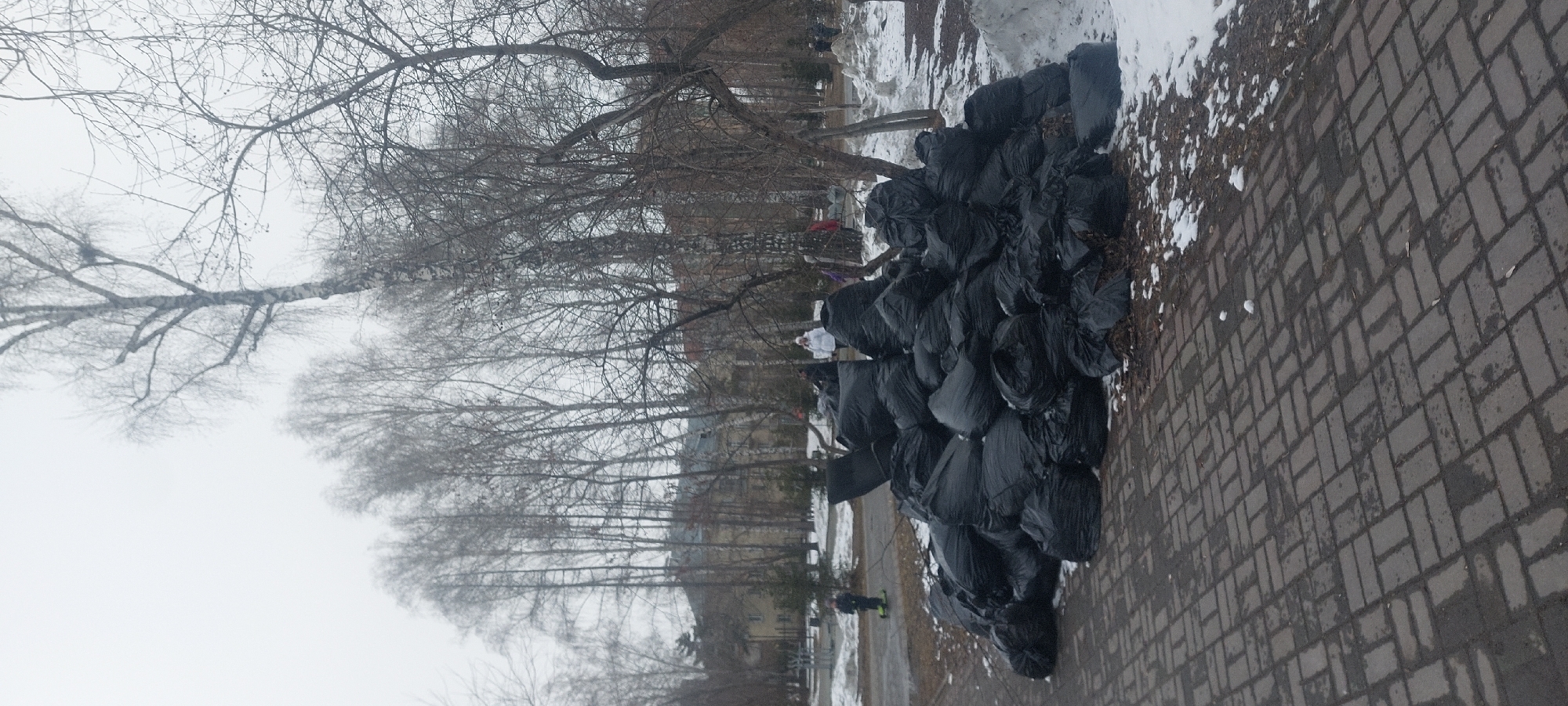 The image shows a cold day in Novosibirsk, Russia, with snow on the ground. A pile of black garbage bags sits next to a brick pathway. Leafless trees are visible in the background. There are people walking around near the garbage bags. A building is visible behind the trees. The scene suggests a cleanup effort or trash collection activity.