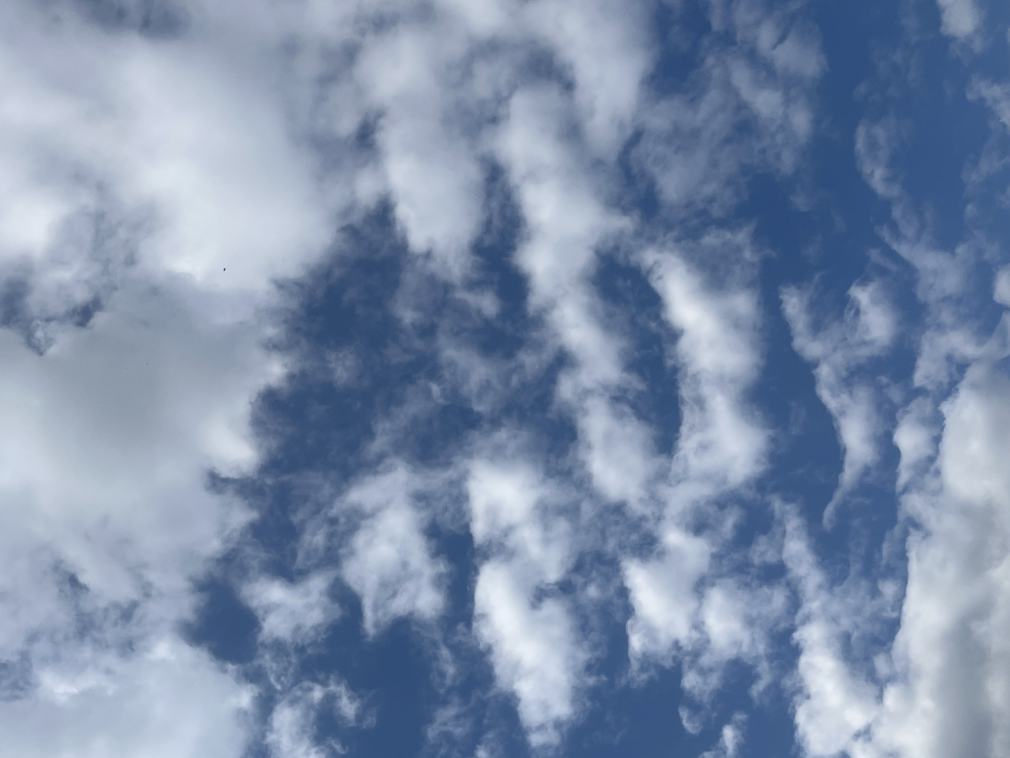 The image shows a cloudy sky with patches of blue visible. The clouds are white and gray, and appear to be of various thicknesses and densities. In the center of the image, a small, dark object is visible, possibly a bird in flight. The overall impression is of a day with mixed weather conditions. The image is a photograph of the sky and does not depict any specific location within the city of Tikhoretsk, Russia.