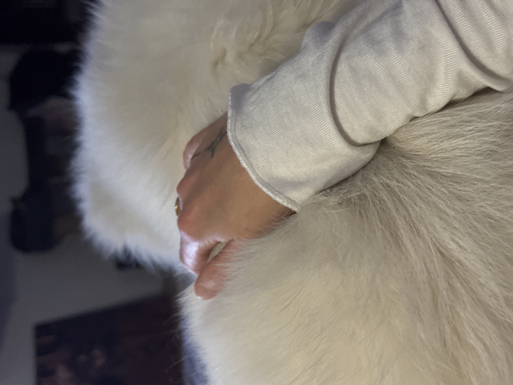 A person's hand wearing a gold ring and a white long-sleeved shirt is grasping a large, fluffy white object, possibly a pillow or a stuffed animal. A small tattoo is visible on the wrist. The background is out of focus, but appears to be a dimly lit interior. There is no indication of this being located in Chaikovsky, Russia.