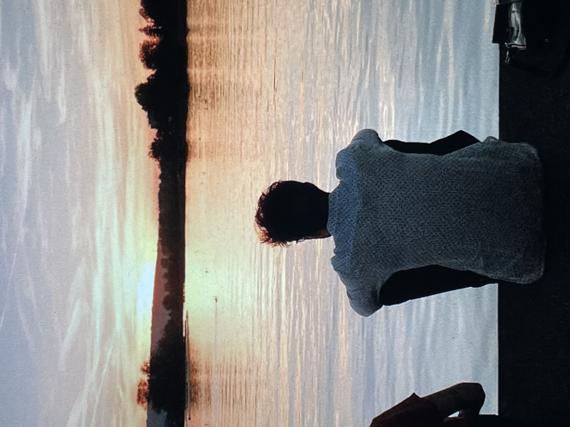 A person wearing a light gray shirt or sweater sits facing a body of water, likely the Neva River, based on the landscape features and the sunset-like sky indicating a northern latitude, strongly suggesting the scene takes place in Saint Petersburg, Russia. A line of trees or vegetation is visible on the left side of the image along the waterfront.