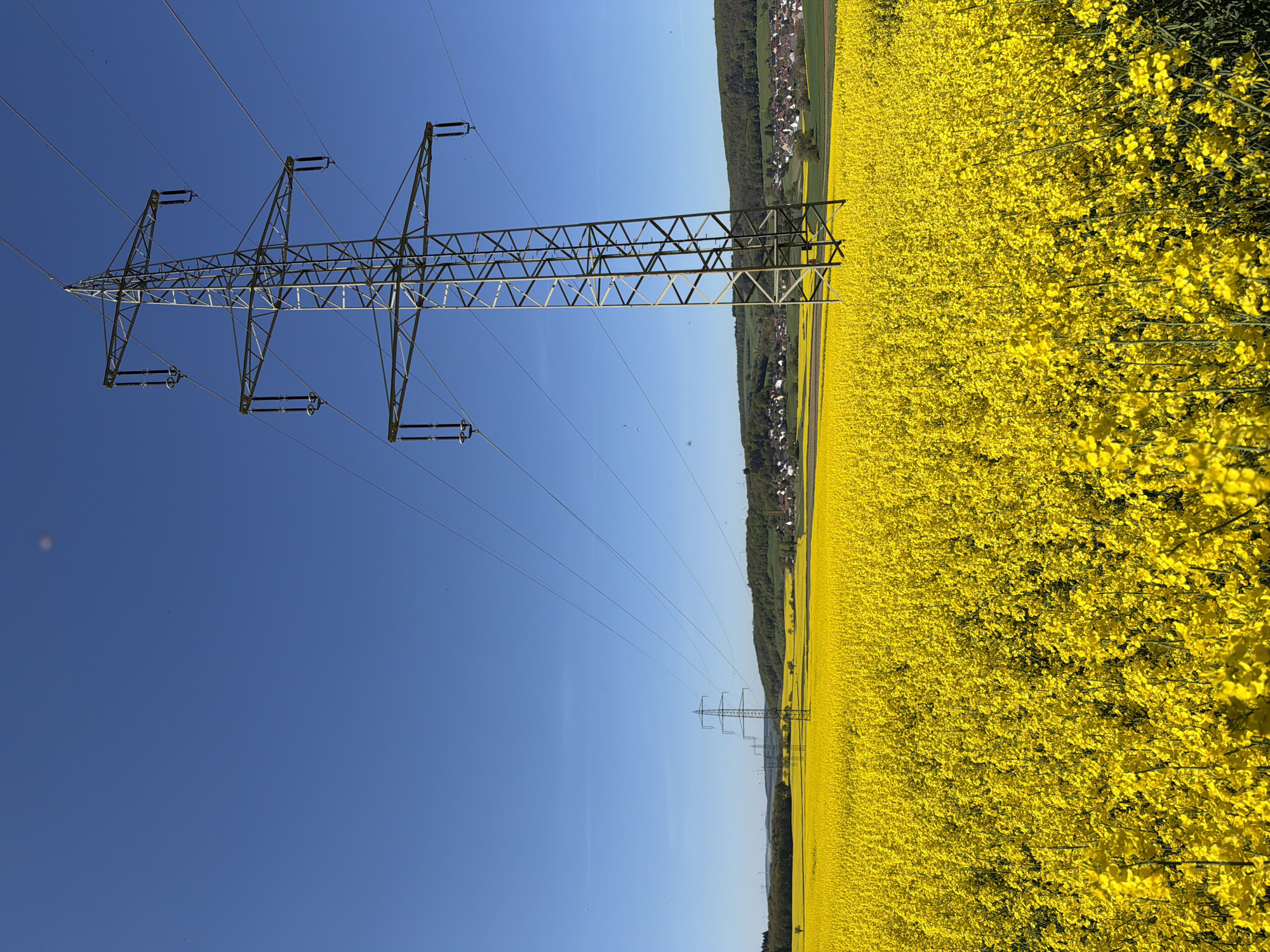 A wide shot, rotated clockwise, captures a vibrant spring or summer landscape featuring a large field of bright yellow flowers, likely rapeseed, under a clear blue sky.
In the foreground and midground, a tall, metal lattice electricity pylon stands prominently, extending upwards and to the left. Multiple power lines stretch horizontally from the pylon across the sky, becoming less distinct in the distance. Another, smaller pylon is visible further down the power line path in the background to the right.
The extensive field of brilliant yellow blooms occupies the entire lower half and right side of the image, contrasting sharply with the deep blue of the sky above and to the left. Beyond the flower field, a forested area lines the horizon. A village or small town, characterized by numerous houses and buildings, is nestled among the trees in the background, suggesting a rural or semi-rural setting. Gentle hills rise behind the settlement.
The scene is bathed in bright daylight, indicating a sunny day with no clouds. No people are visible, and there is no discernible text in the image. The image captures a serene, open landscape in Obermoschel, Germany, highlighting the coexistence of natural beauty and industrial infrastructure.