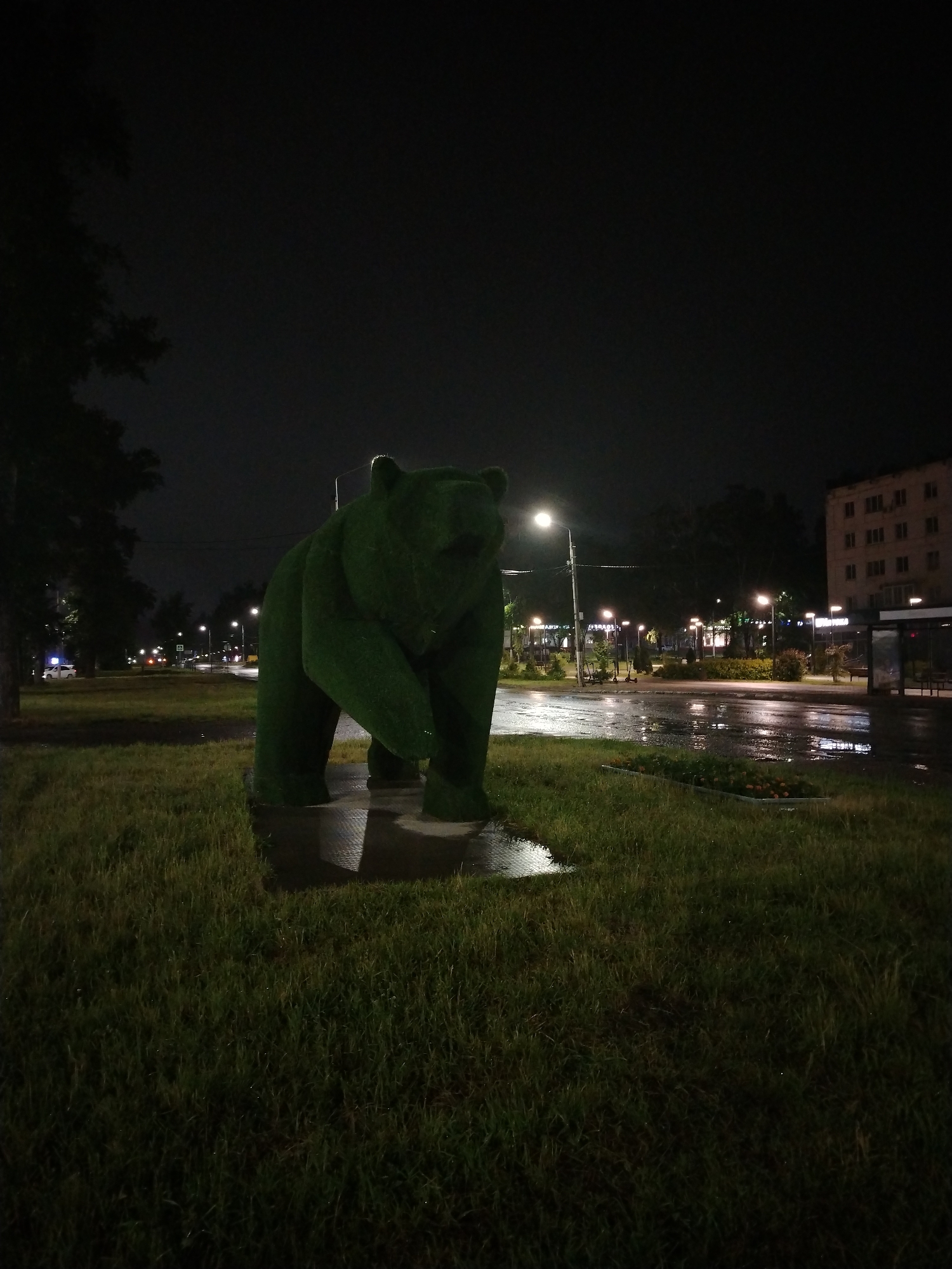 The image captures a nighttime urban scene in Chaikovsky, Russia, after a rainfall. In the immediate foreground, a large, dark green topiary sculpture of a bear stands on a paved surface, its left front paw slightly elevated. Puddles of water surround the bear's base, reflecting the ambient light. The ground extending from the foreground consists of damp, dark green grass, with a rectangular planter box containing small orange flowers visible in the lower right corner.
Behind the bear, a wet asphalt street stretches into the distance, reflecting numerous bright streetlights positioned along its length. A white sedan is parked or moving slowly on the left side of the street in the mid-distance. Further down the street, a green road sign with a white arrow is visible. The left side of the street features a treelined park strip, while the right side includes a wider pedestrian area with additional trees, benches, and illuminated pathways, along with what appears to be a bus stop or shelter. In the background on the right, a multi-story, light-colored building with several windows is discernible. The sky above is dark and cloudless. No individuals are visible in the scene. The overall environment is well-lit by artificial illumination, creating strong reflections on the wet surfaces.