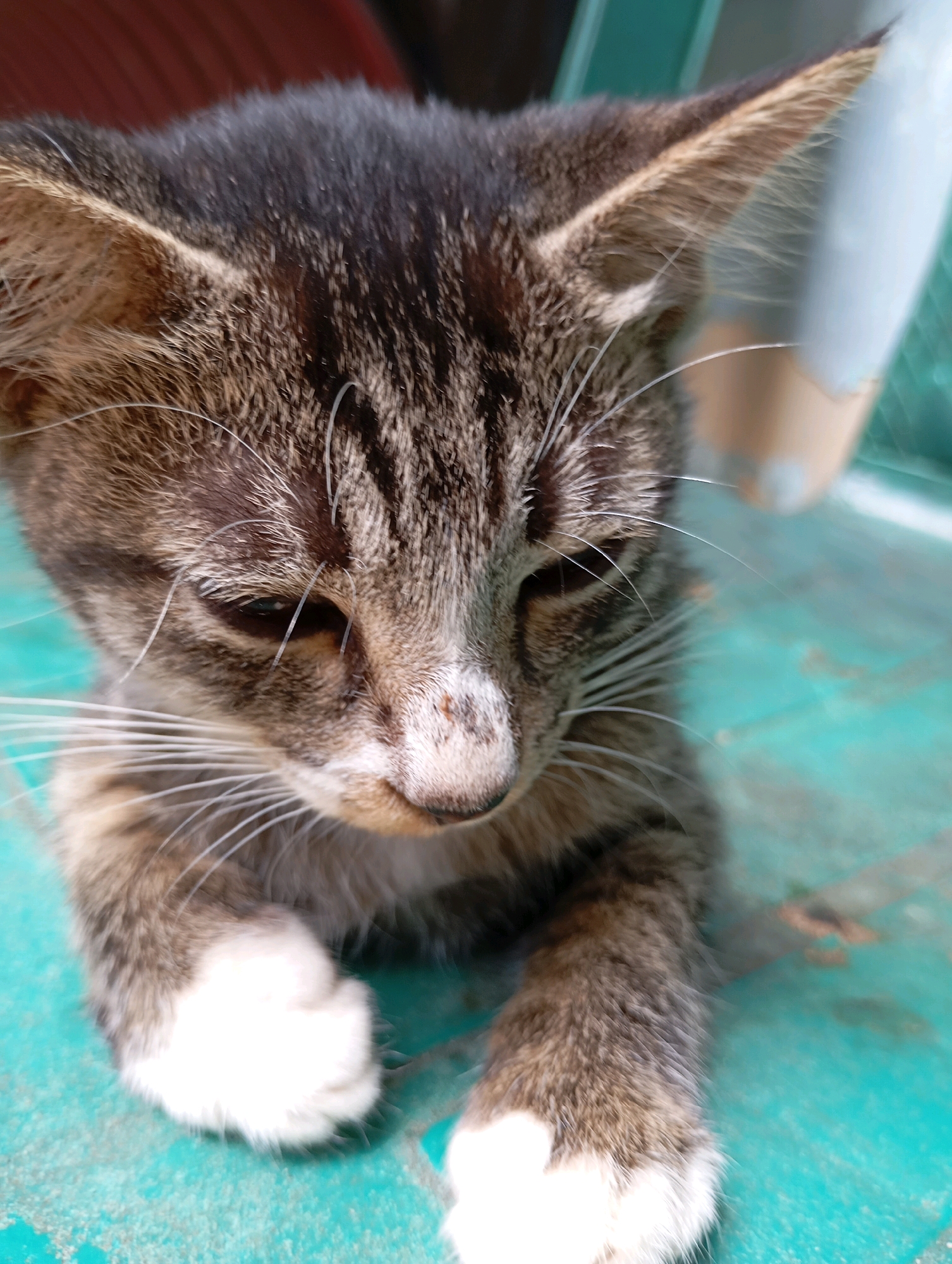 Memory