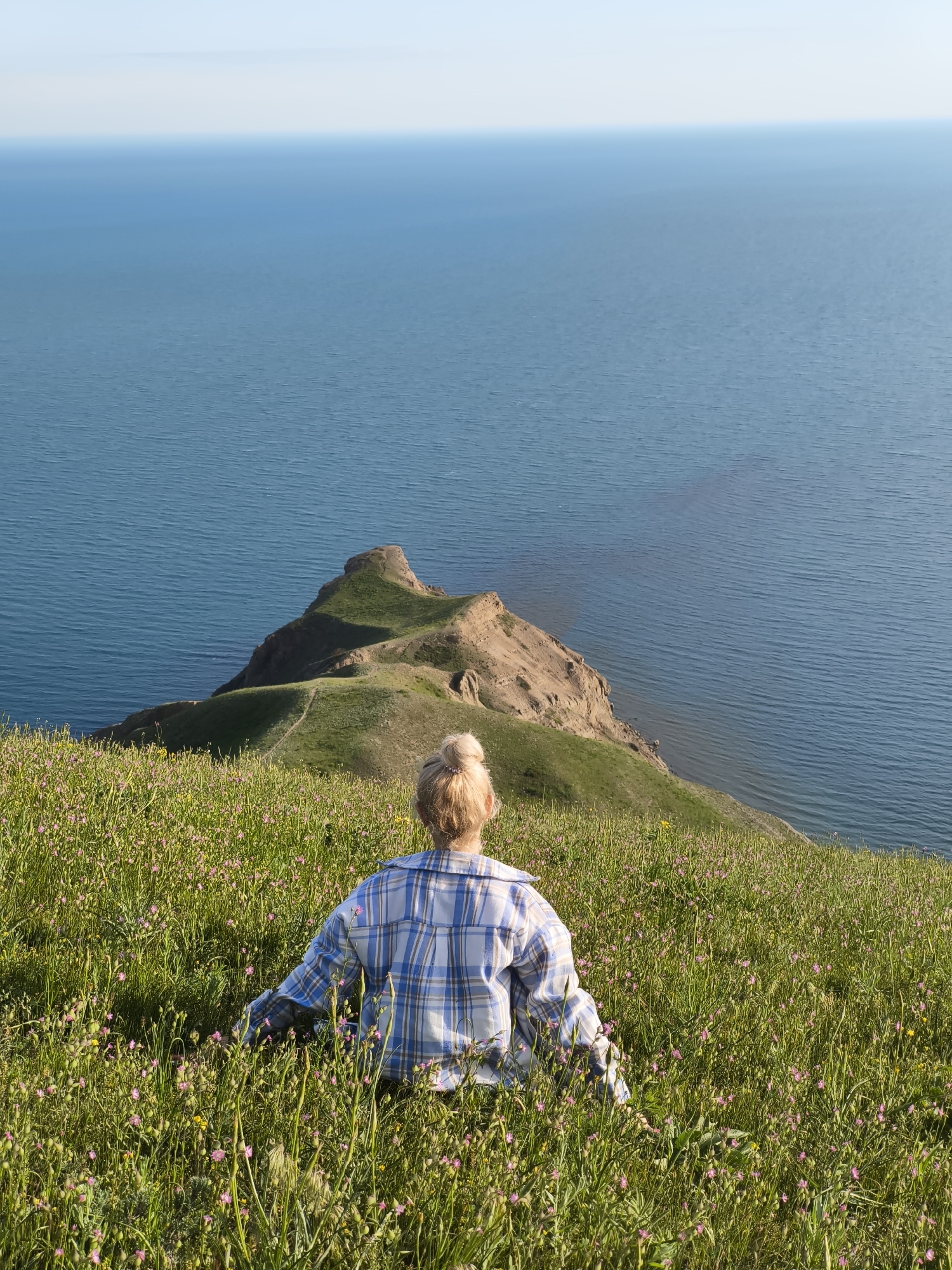 A medium, eye-level shot shows the back of a person sitting in a field of wildflowers, looking out at a long, narrow peninsula jutting out into the ocean, in Коктебельский поселковый совет, Ukraine. The person, presumably female, has light-colored hair pulled back in a bun. She wears a light blue and white plaid, button-down shirt. The peninsula, covered in green grass and some bare earth, extends from the foreground, with the ocean on either side. The ocean is a calm, deep blue, stretching to the horizon. The sky is light blue and clear. The foreground is filled with green grass and small pink wildflowers.