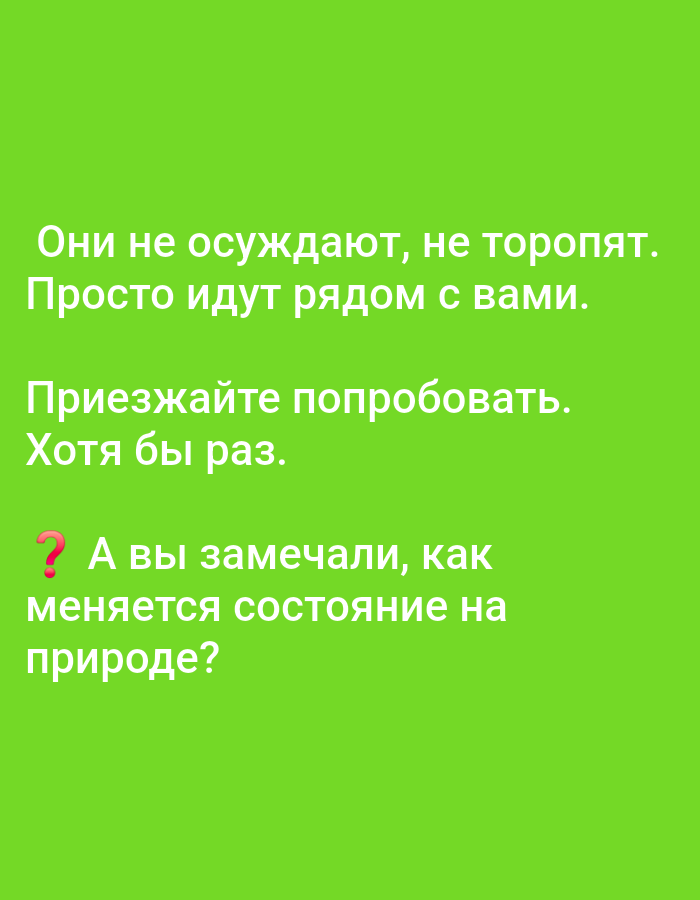 The image is a green-colored graphic with text in the Russian language. The text says: "Они не осуждают, не торопят. Просто идут рядом с вами. Приезжайте попробовать. Хотя бы раз. ? А вы замечали, как меняется состояние на природе?" which translates to "They don't judge, they don't rush. They just walk beside you. Come and try. At least once. ? Have you noticed how the state changes in nature?" The text suggests a contemplative tone about experiencing nature. The image is likely a quote or an invitation to visit a natural setting. There is no information about the location in the city of Ilyinka, Russia, in the image.