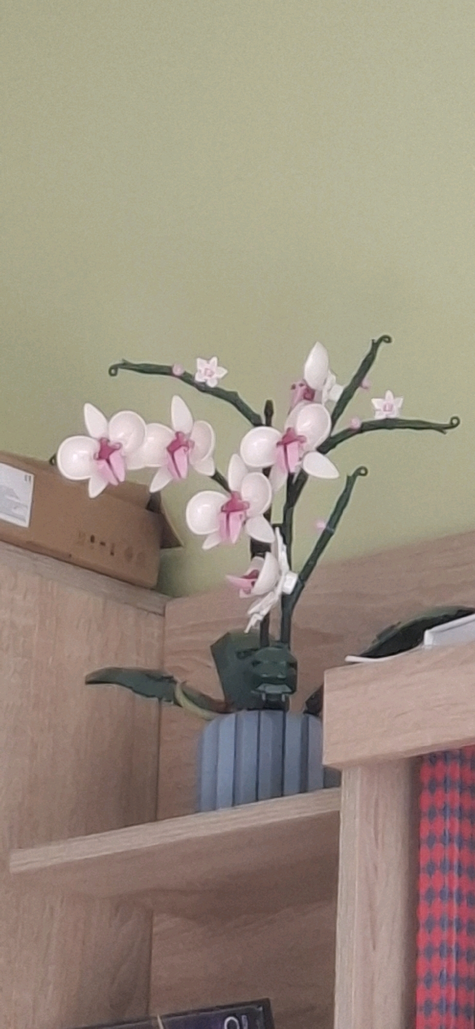 An artificial orchid plant with white and pink flowers is displayed on a light brown wooden shelf. The plant has green stems and is potted in a ribbed blue planter. The background is a solid light green wall. To the left of the orchid, on the same shelf, is a cardboard box. To the right of the orchid, on a lower shelf, is a glimpse of what appears to be a book or magazine with a red and blue checkered pattern. The scene is indoors, suggesting a residential or office setting, but its specific location within the city of Sofia, Bulgaria, cannot be determined from the visual information provided.