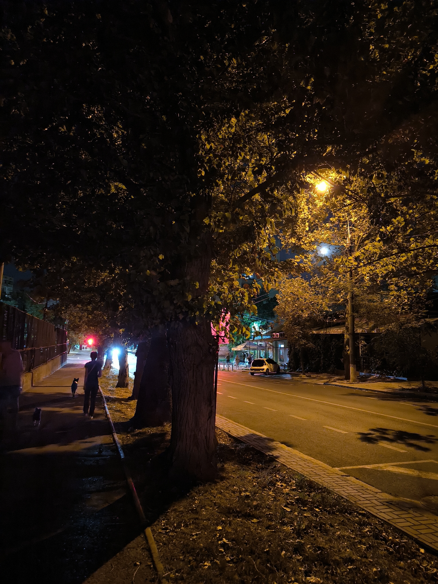 A nighttime scene on a city street in Mykolaiv, Ukraine, shows a sidewalk lined with trees and a road with a yellow car parked on it. On the sidewalk, a person walks a dog. A streetlamp illuminates the scene with a warm glow. A traffic light is visible in the background, showing a red light.