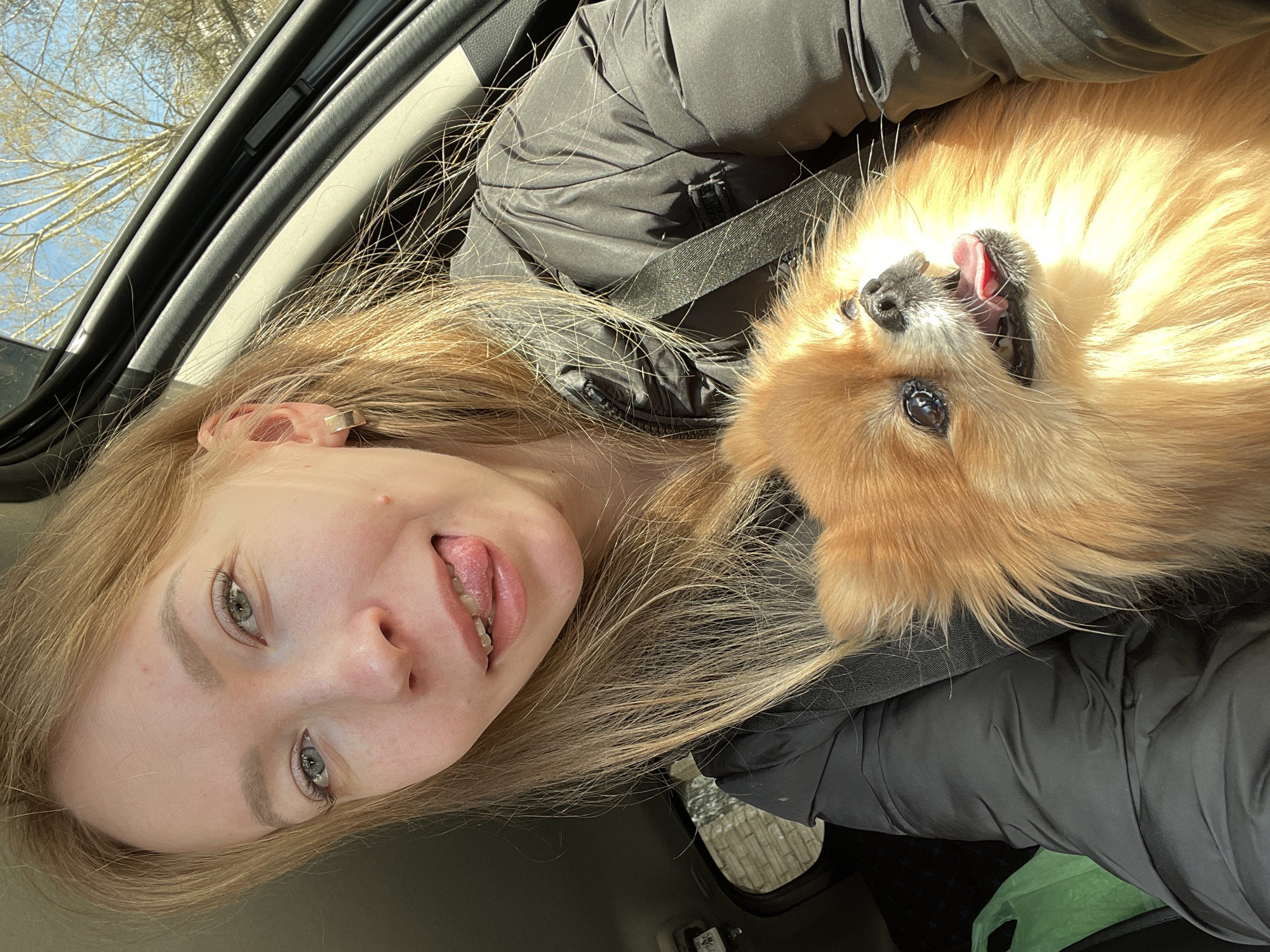 A woman and a small dog are in a car. The woman is fair-skinned with long blonde hair, light-colored eyes, and her tongue sticking out. She is wearing a dark-colored jacket. The dog is small, fluffy, and has brown fur. It is lying on its back, with its tongue sticking out, and appears to be in the woman's lap. Both are wearing a seatbelt. The interior of the car is visible, including the roof and the side window. The picture was taken during the daytime, in Perm, Russia.