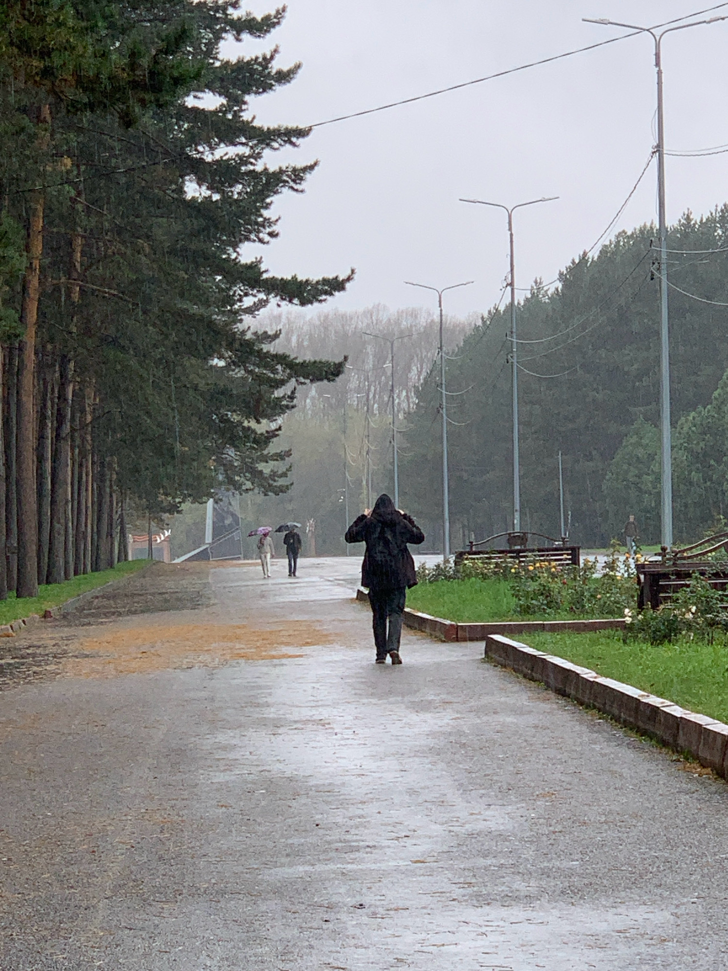 In Prokopyevsk, Russia, during a rainy day, three individuals are captured walking on a wet asphalt path lined with trees and lampposts. The foremost person, facing away from the camera, wears a dark hooded jacket and dark pants, adjusting the hood. Further down the path, two other figures, one holding a pink umbrella and the other a black umbrella, walk in the same direction. The environment is a park or public walkway, with dense green trees on the left and a line of lampposts on the right. Lush green grass and rose bushes are visible along the side of the path. The sky is overcast, contributing to the damp and muted atmosphere. The asphalt surface reflects the overcast sky and surrounding elements due to the rain.