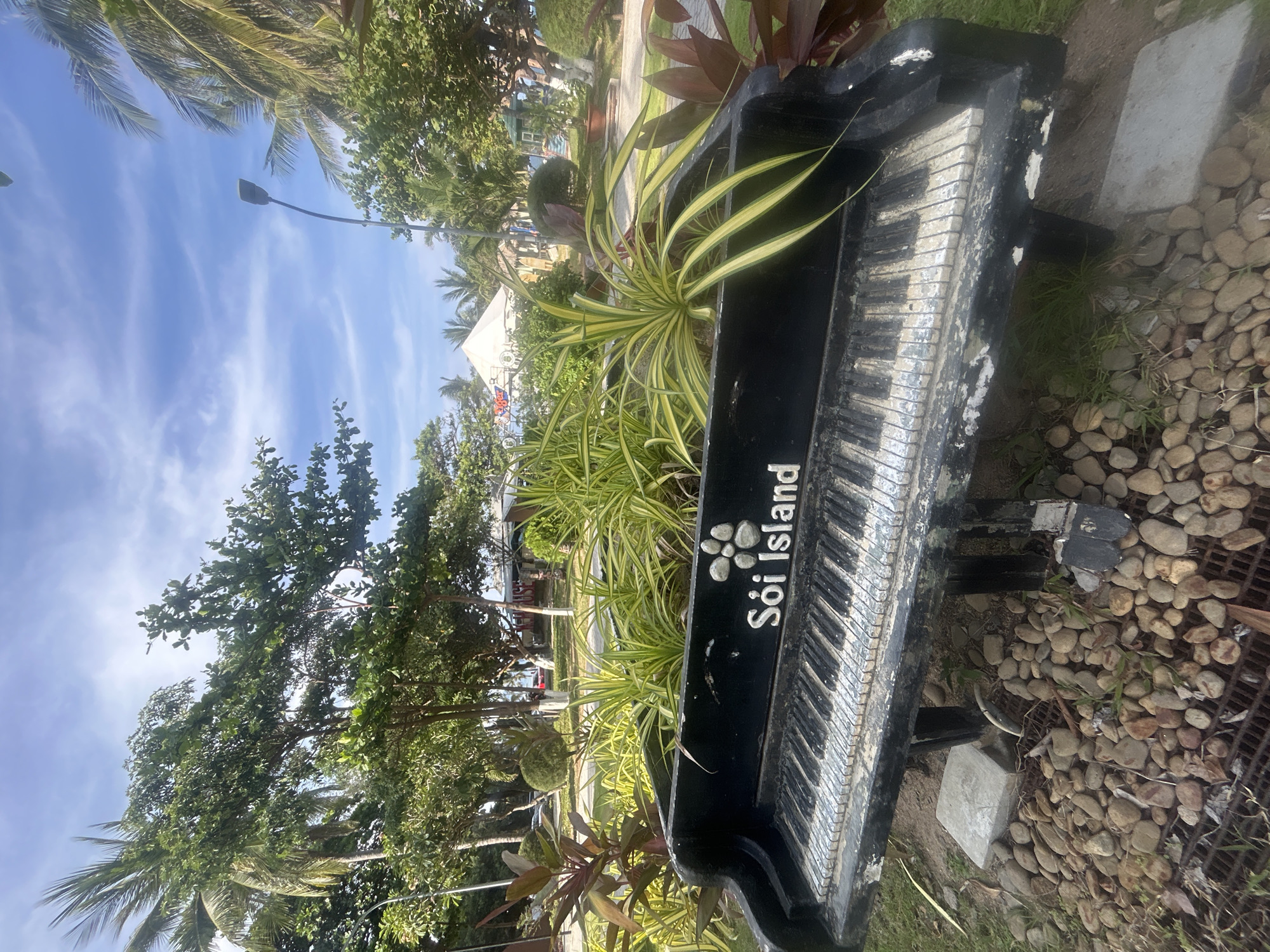 The scene depicts a black, weathered piano repurposed as a planter, located outdoors in a public area. The piano is partially filled with greenery, including variegated spider plants and other foliage. The words "Soi Island," accompanied by a floral logo, are painted on the side of the piano. The piano sits on a bed of small, rounded stones. The background reveals a tropical setting with trees, glimpses of buildings, and a bright blue sky with scattered clouds. Based on the "Soi Island" inscription, it is likely that the image was taken in or near Nha Trang, Vietnam.