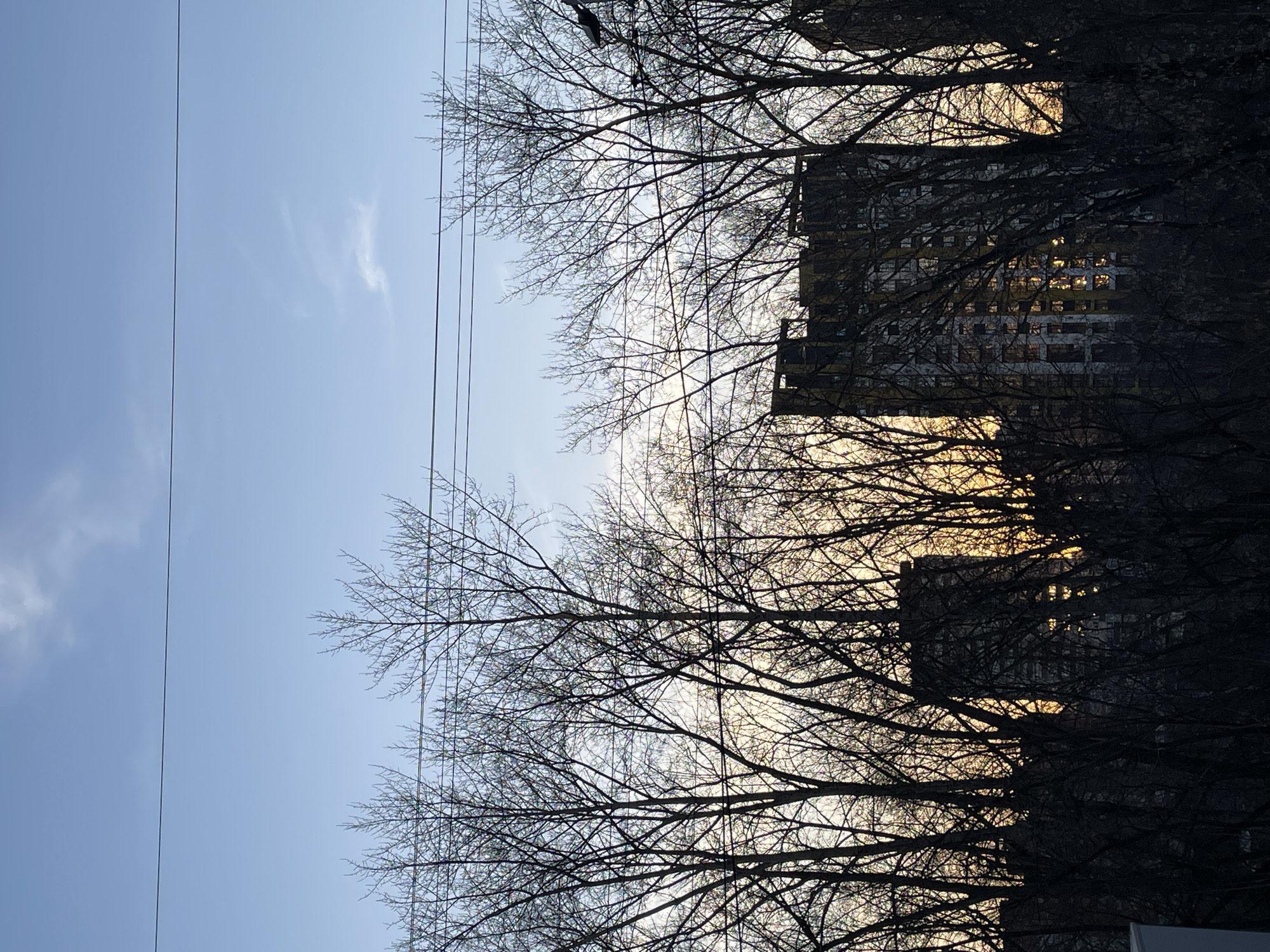 The image presents a view of the sky, trees, power lines, and a building in Izhevsk, Russia. The sky is pale blue with a few wispy clouds. Bare tree branches crisscross the foreground, silhouetted against the sky and obscuring part of a building in the background. The building appears to have a multi-story structure with many windows reflecting sunlight. Power lines stretch across the sky.