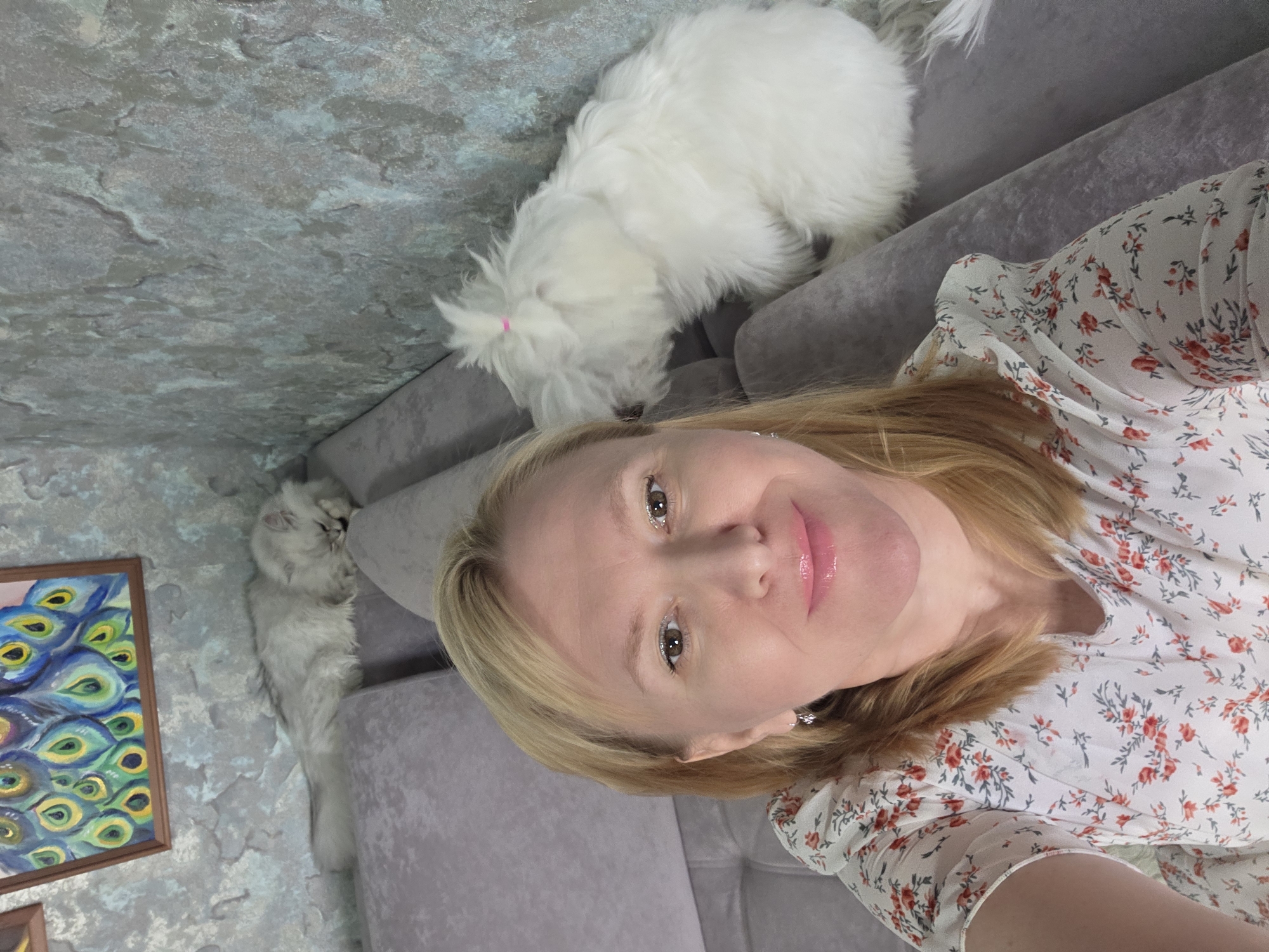 This is a selfie taken by a woman with blonde hair and fair skin. She is wearing a white blouse with a floral pattern of red flowers and green leaves. Her lips are glossy and pink, and she is wearing earrings. Her eyes are brown. She is lying on a gray sofa.
To her left, a white dog with fluffy fur is lying on the sofa. It appears to be a West Highland White Terrier or similar breed. A small pink hair tie is visible in the dog's fur.
Further to the left, another animal, possibly a light gray cat, is stretched out on the sofa. Its fur appears long and soft, and it is curled up against the armrest.
On the wall to the left of the sofa, there is a framed painting of peacock feathers. The painting features vibrant blues, greens, and yellows, with iridescent eyes of the feathers prominently displayed.
The overall setting appears to be indoors, in a living room. The wall has a textured finish resembling concrete or stone. The lighting suggests it is daytime. The woman's expression is neutral or slightly smiling. There is no visible text in the image. The location context is Novocheboksarsk, Russia.