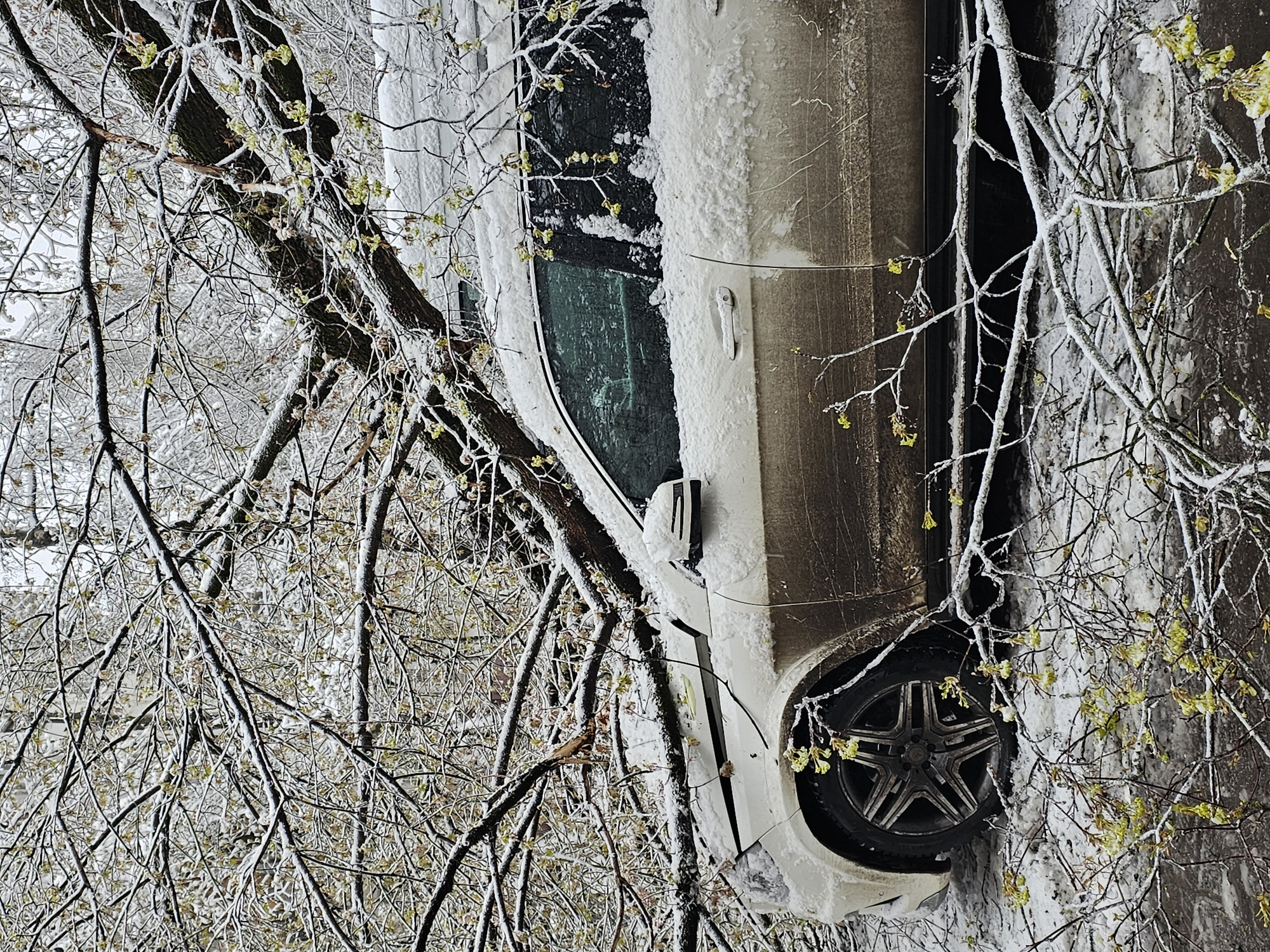 The image shows a light-colored SUV parked near a snow and ice-covered tree. The car is partially covered in snow and ice. The location is Khimki, Russia.