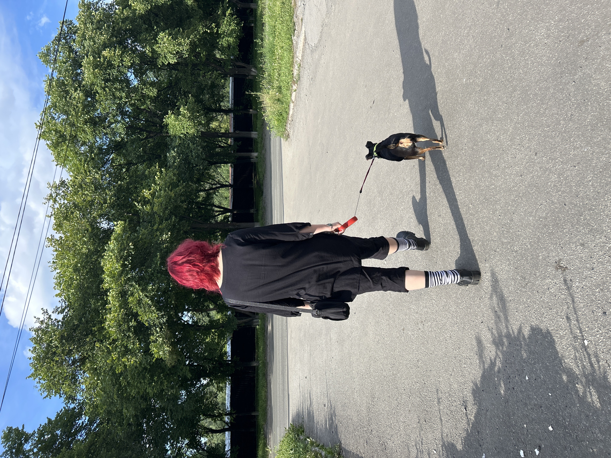 In an outdoor, urban setting with a paved road and green trees, a person with bright red hair walks away from the camera, leading a small black and tan dog on a red leash. The person wears a black tunic-style top, black cropped pants, black chunky shoes, and black and white striped socks. A black crossbody bag is slung over their left shoulder. The dog is wearing a lime green collar. Sunlight casts long shadows on the asphalt. The background features a row of mature trees, a dark fence, and a blue sky with scattered clouds. Overhead, power lines are visible.