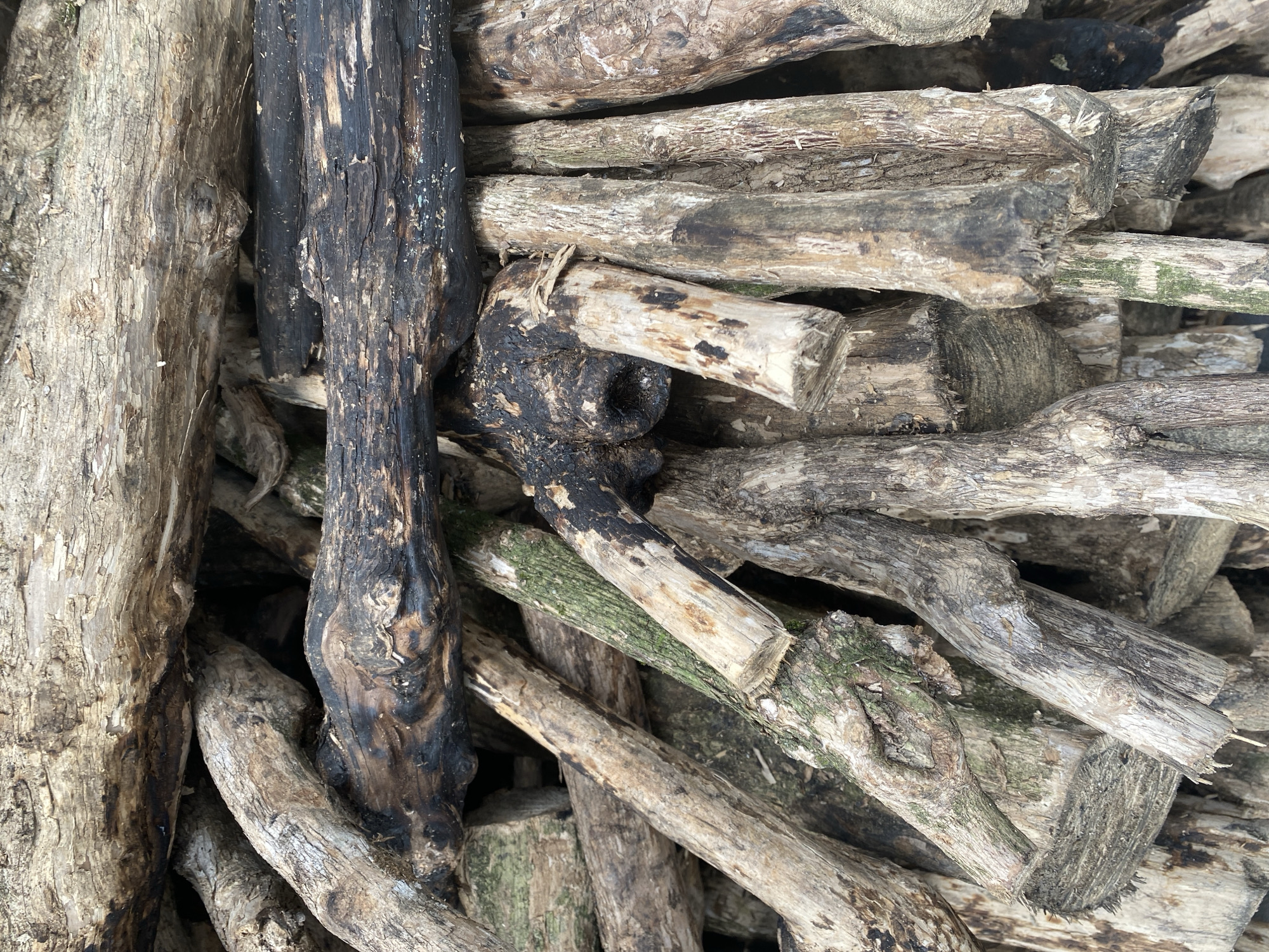 A close-up shot depicts a dense pile of stacked firewood. The wood varies in color from light tan to dark charcoal. Individual pieces are cylindrical and appear to be branches or small logs, ranging in diameter from a few inches to less than an inch. Some have been cut or broken to a uniform length. Evidence of charring and surface weathering is visible on some pieces. The wood appears to be piled on an exterior surface, likely a yard or storage area. The exact location within Da Lat, Vietnam, cannot be ascertained from the image alone.