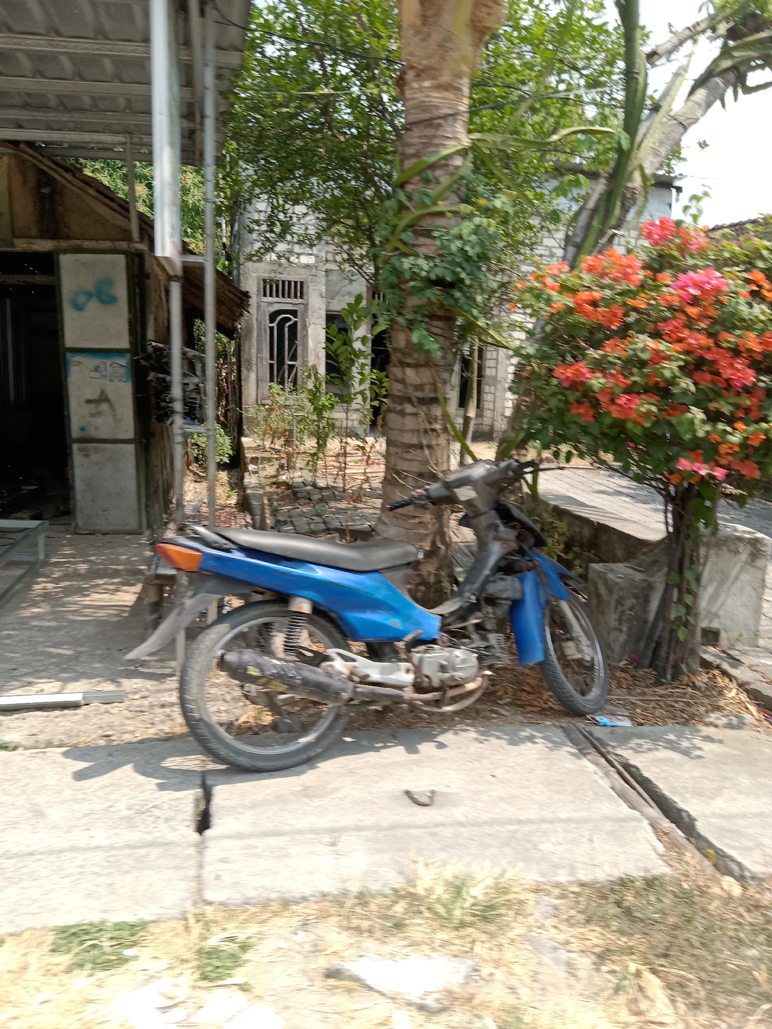 A blue motorcycle is parked on a concrete sidewalk next to a tree with pink and orange flowers. The motorcycle appears to be in a state of disrepair, with visible rust and missing parts. Behind the motorcycle, a building with a corrugated metal roof is visible, along with a house in the background. The environment appears to be a rural or suburban area in Sugihwaras, Indonesia, with dry vegetation and a bright, sunny sky. There are no people visible in the image.