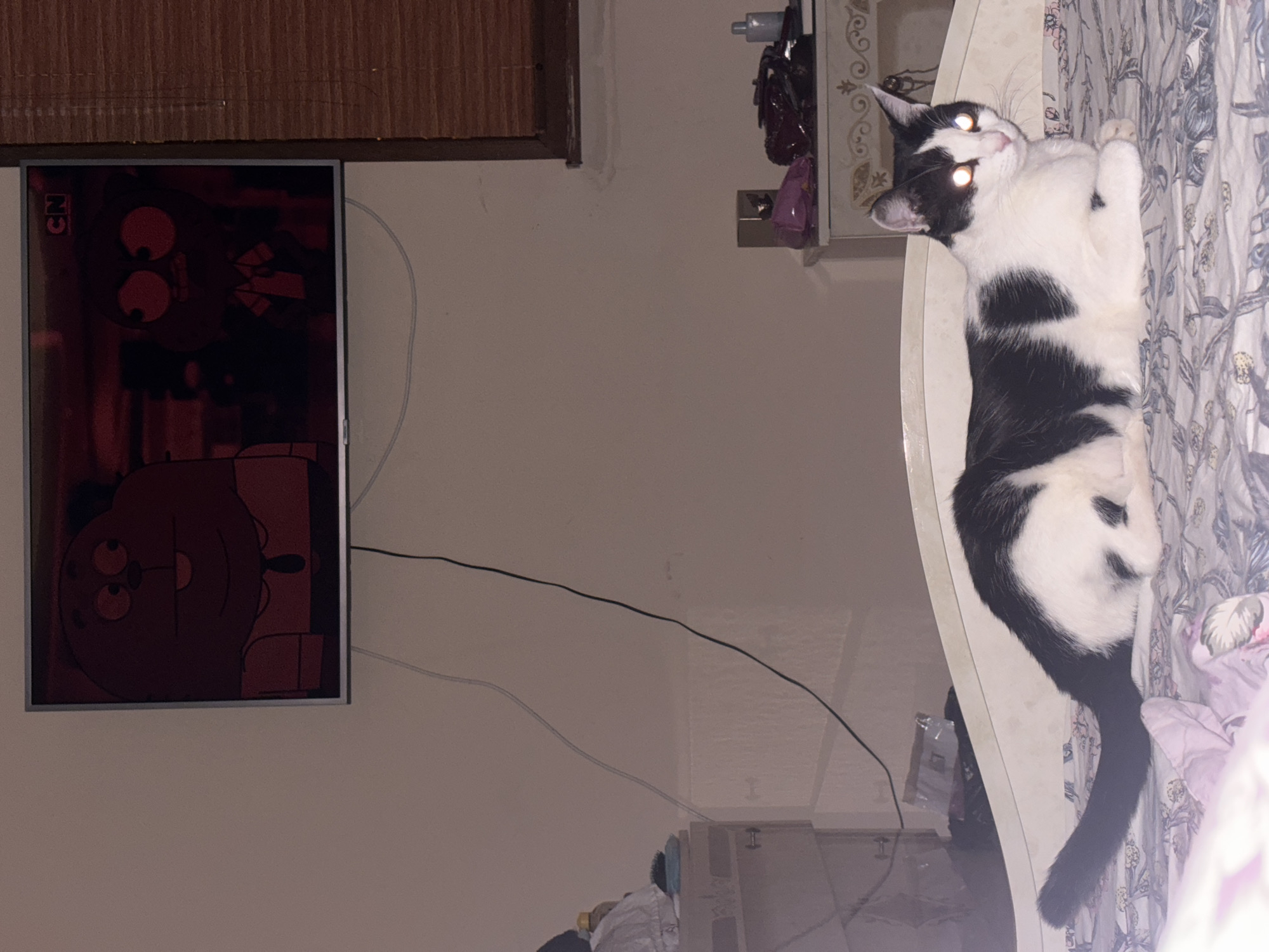 The image depicts a domestic indoor scene, likely a bedroom, with a black and white cat lying on a bed. The cat is in the foreground, facing the camera with its eyes reflecting light, giving them an intense glow. The bed has a patterned comforter. In the background, a television is on, displaying cartoon characters with a red tint. The room appears to be dimly lit, with a window covered by blinds visible on the right. Electrical cords are visible running along the wall and from the television. A dresser or nightstand is present to the right of the bed, with some items on it. There are no specific geographical indicators to suggest the location is Vratsa, Bulgaria.