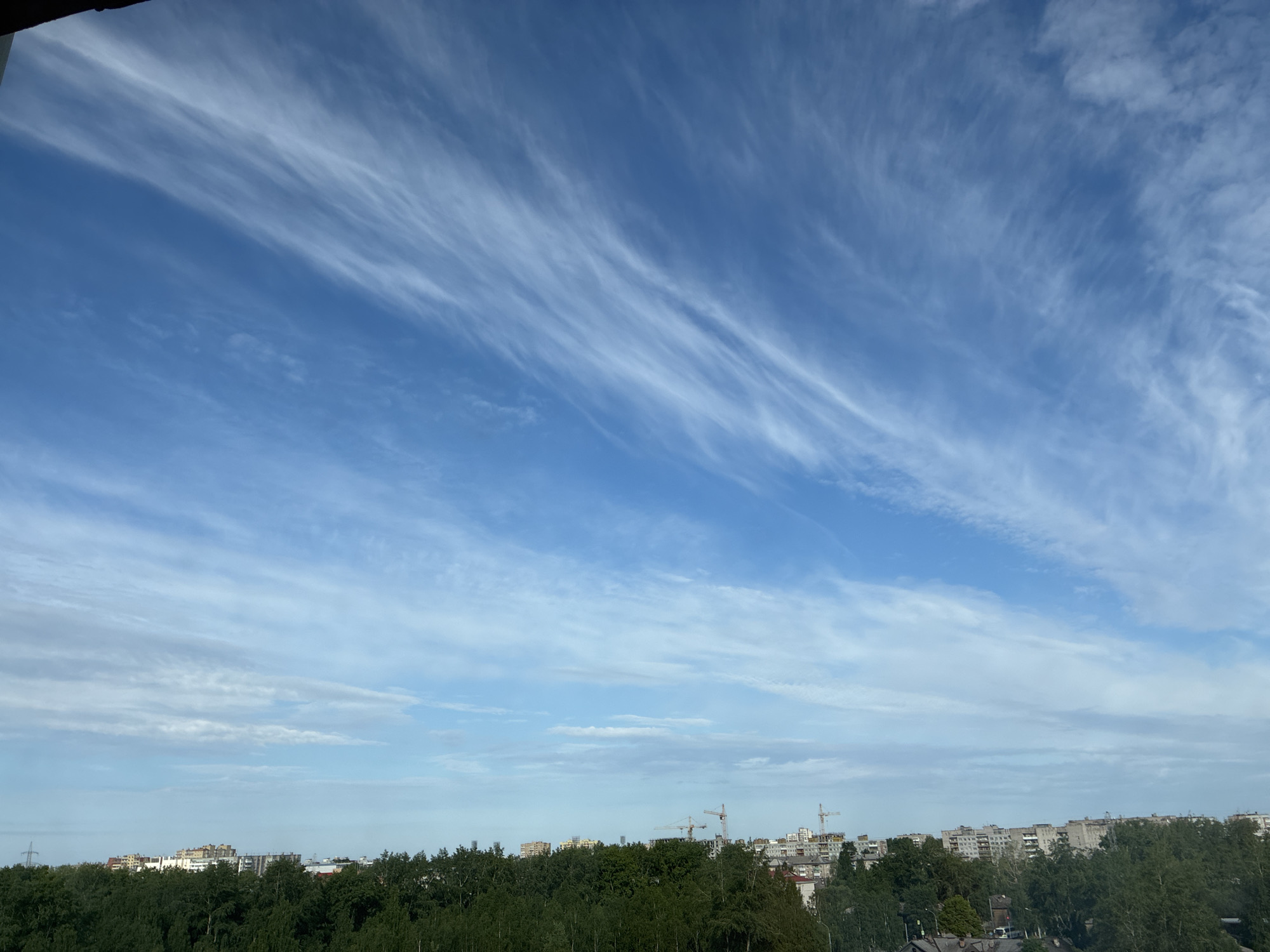 The image shows a wide, bright blue sky with wispy, white cirrus clouds stretching across it. Below the sky, a line of green trees forms a dense canopy, partially obscuring the buildings behind them. The buildings appear to be a mix of apartment complexes and some construction sites with cranes visible. The overall impression is of an urban landscape on a clear day, with nature and development coexisting. There are no people or specific actions depicted in the image.