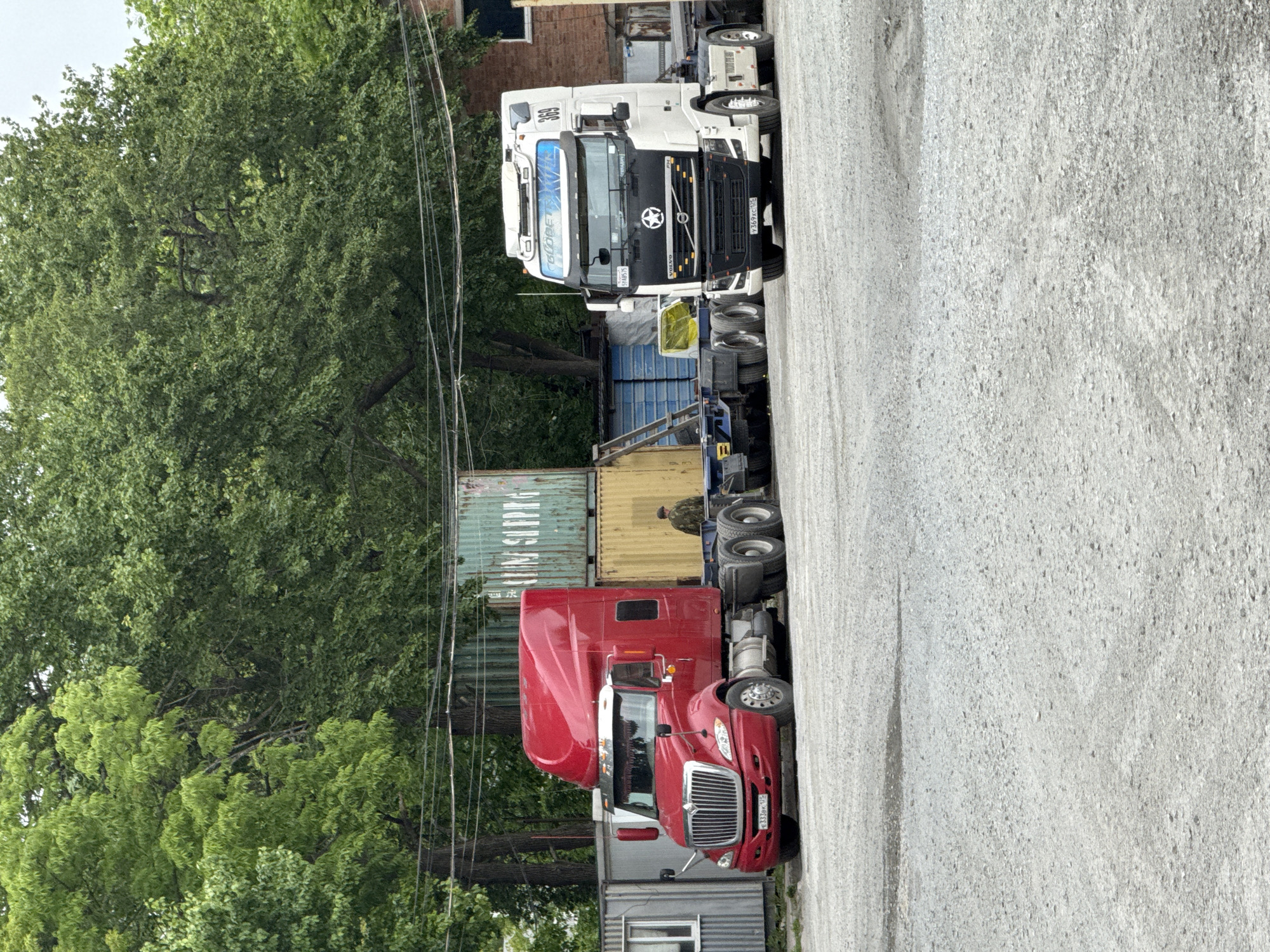 This image captures an outdoor scene featuring two semi-trailer trucks and shipping containers, likely within a truck depot or industrial area in Vladivostok, Russia. The setting appears to be daytime under overcast skies, with no individuals visible.
On the left, a red International semi-truck is parked. Its license plate, "E333BK 125," is clearly visible. Behind the red truck, a stack of shipping containers is present; one green container displays weathered text, partially legible as "ONE SUPPLY," positioned above a yellow/tan container.
To the right, a white Volvo semi-truck is parked. The sun visor on its windshield prominently features the text "GLOBETROTTER," and the number "369" is marked above the windshield. A star emblem adorns the Volvo's grille, and its license plate reads "Y369PC 25." Part of a brick building is visible in the background behind the white truck.
The ground is a light grey, textured paved surface, indicative of concrete or asphalt. Lush green trees form a significant portion of the background on the left side of the frame, suggesting a natural or planted area adjacent to the parking space. Utility wires traverse vertically through sections of the image. A small, grey, container-like structure is situated near the front bumper of the red truck. The scene depicts a moment of stasis within an active commercial or logistics environment.