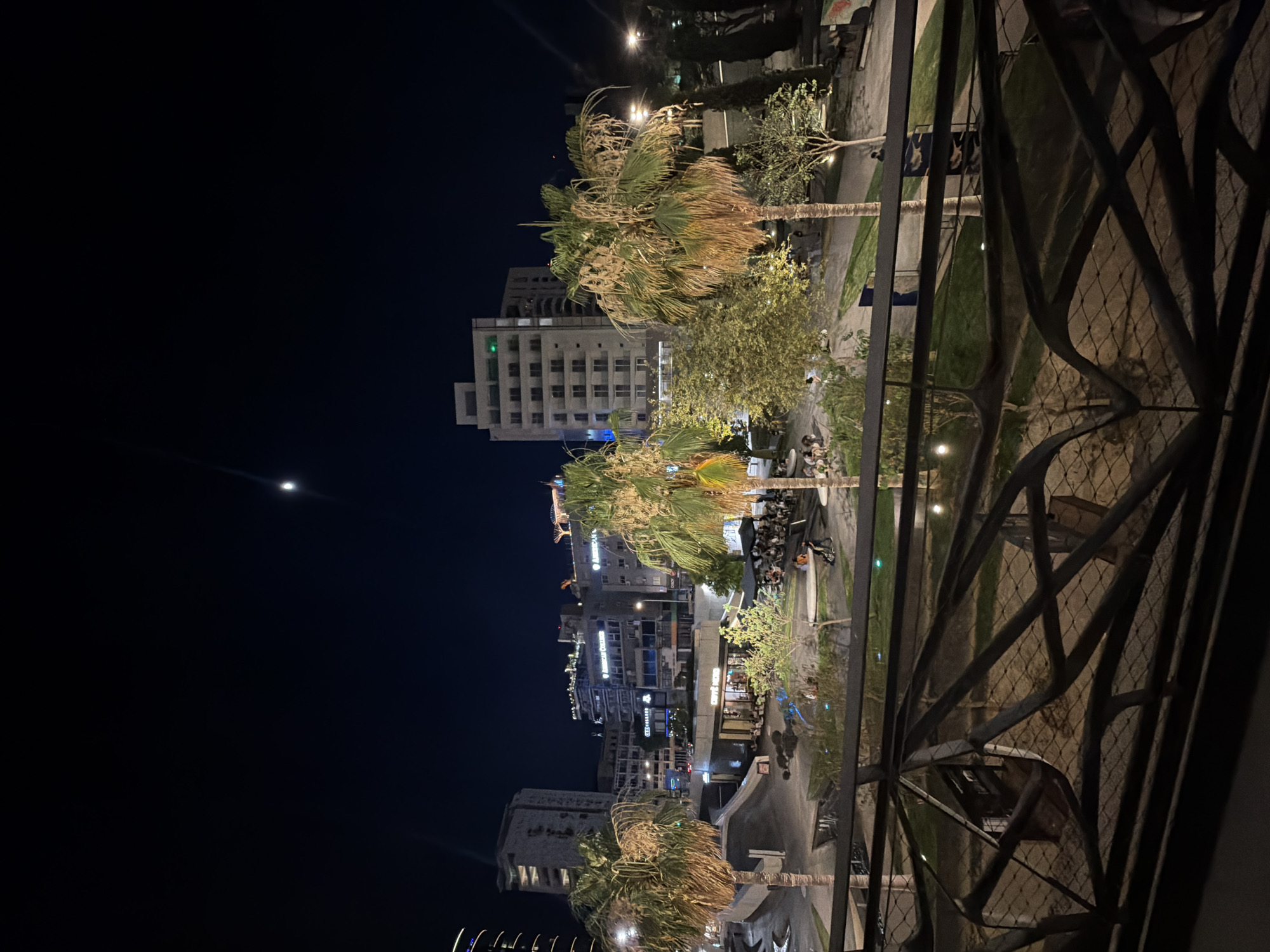This is a nighttime photograph taken in Nicosia, Cyprus, likely from a balcony or elevated vantage point, looking out over an urban scene. The image is oriented vertically, suggesting the original photo was taken in portrait mode and then rotated.
The scene depicts a street or plaza at night, illuminated by artificial lights from buildings and street lamps. Several palm trees are prominent in the foreground, their fronds appearing dry and windblown, suggesting a warm climate. In the background, modern buildings of varying heights are visible, with windows lit up. One building has a prominent green light on its facade. There are also some trees and greenery in the mid-ground.
Below the palm trees, a paved area appears to be a pedestrian walkway or seating area, with several tables and chairs set up. A few people are visible, some seated, and others walking, suggesting a lively atmosphere in a commercial or recreational area. The lighting creates a slightly hazy effect in some areas. A metal railing and mesh fence are visible in the immediate foreground, framing the view.
In the upper left portion of the dark sky, a faint bright spot is visible, which could be the moon. The overall mood is one of an urban night, with the city alive with activity. The presence of palm trees and the Arabic script on one of the buildings provides specific location cues for Nicosia, Cyprus.