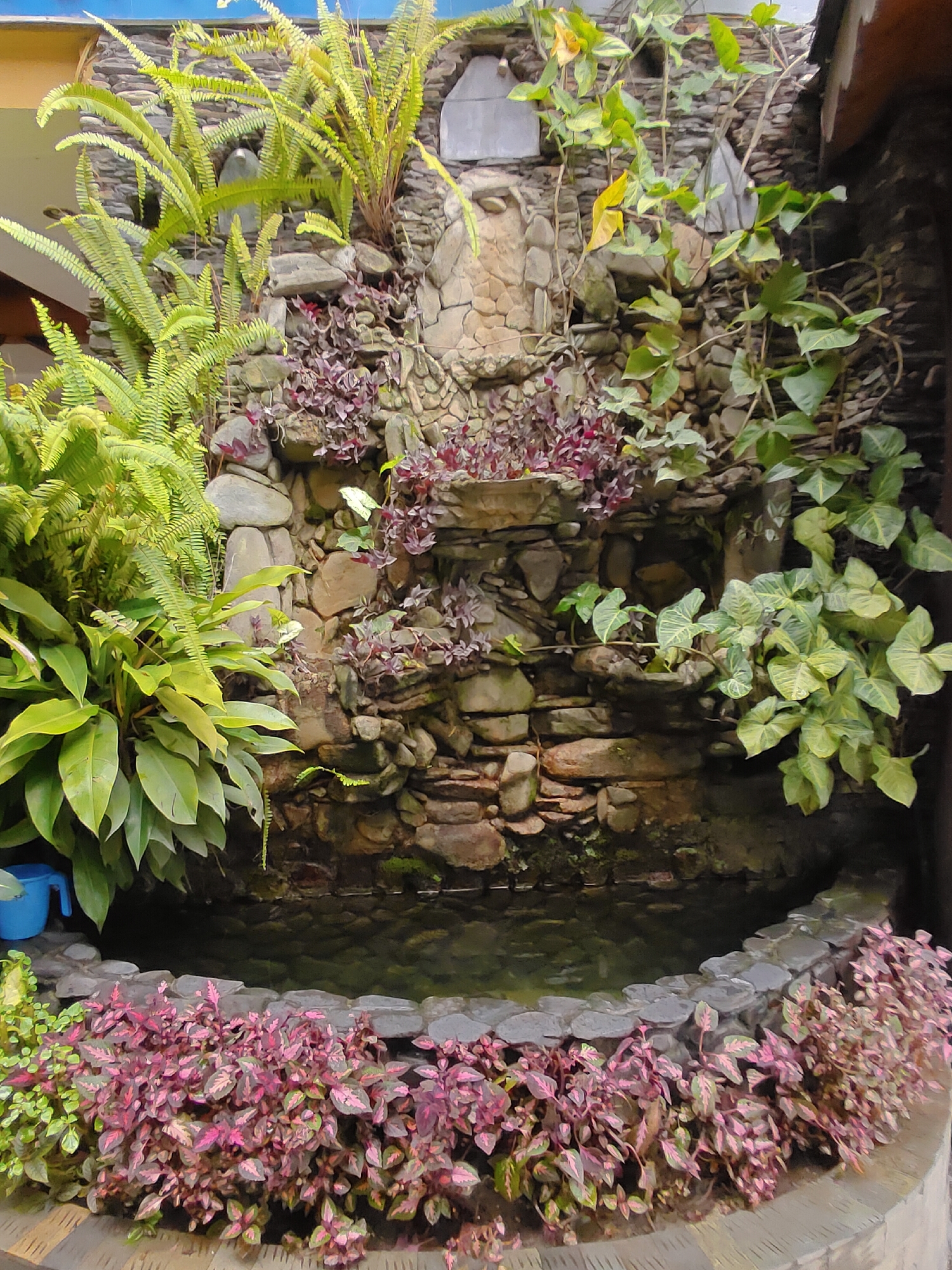 The image depicts a small, ornamental waterfall cascading down a rock-faced wall into a shallow pool. Lush green ferns and other plants, including some with reddish-purple foliage, surround the water feature. The waterfall appears to be built into a stone wall, with different sized stones forming ledges and channels for the water to flow. A small, light blue watering can is visible to the left of the pool, near the base of the wall. The foreground features a low, curved border of gray stones around the pool, with more of the reddish-purple foliage planted along its edge. The scene suggests an outdoor garden or courtyard setting. The question about the location in Pokhara, Nepal cannot be answered from the image alone.