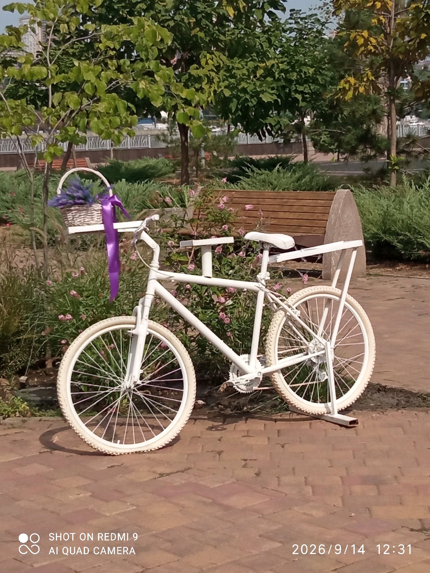 In Rostov-on-Don, Russia, a white bicycle, likely an art installation, stands on a brick pathway. The bicycle is decorated with a white basket containing purple lavender and a vibrant purple ribbon tied to its handlebars. In the background, a wooden bench sits amidst lush green foliage and flowering bushes, suggesting a park or garden setting. The scene is bathed in sunlight, casting shadows on the ground. The image also features superimposed text indicating it was "SHOT ON REDMI 9 AI QUAD CAMERA" and a date stamp of "2026/9/14 12:31".